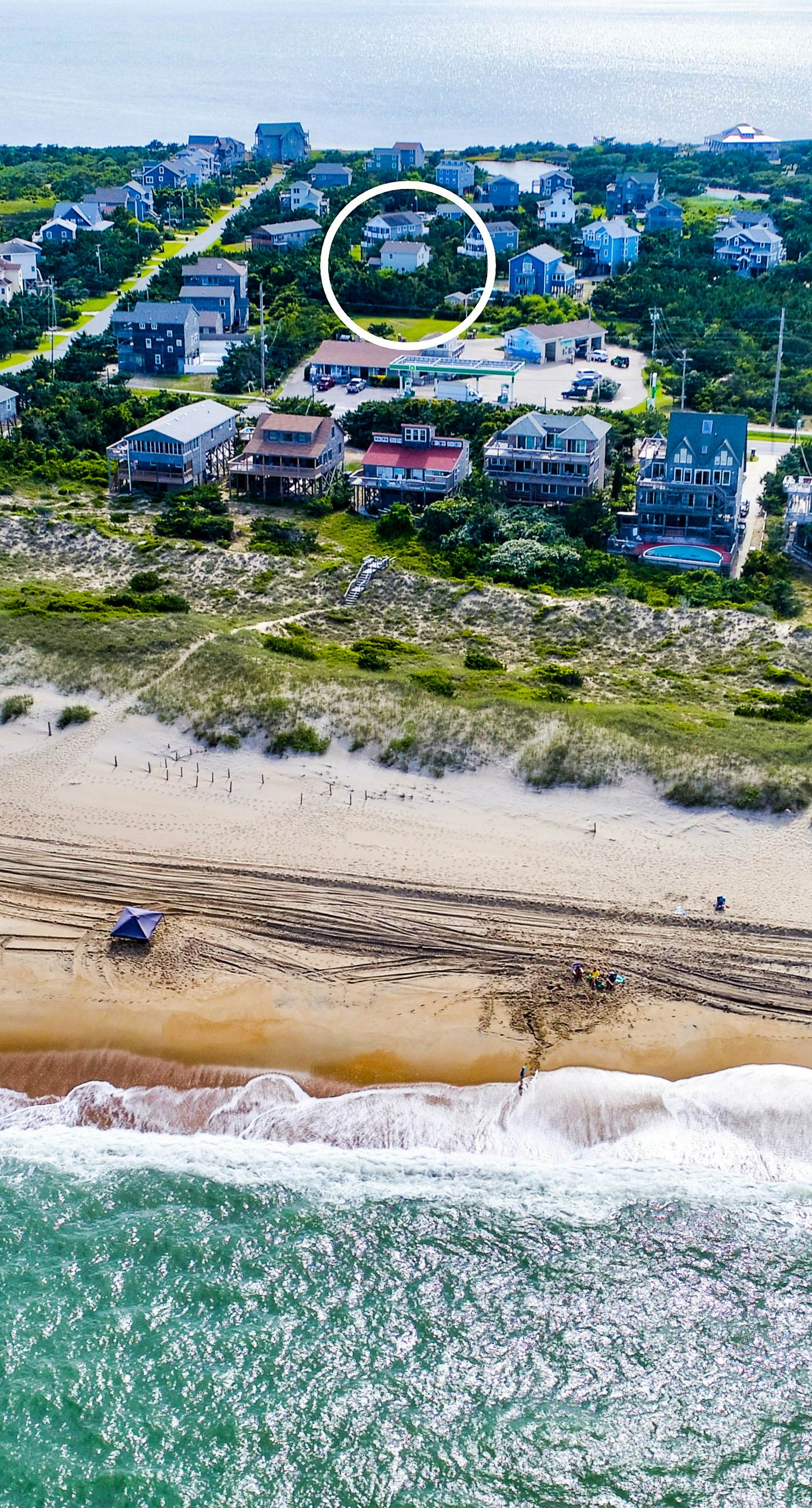 AV904 Sugar Bean Shack