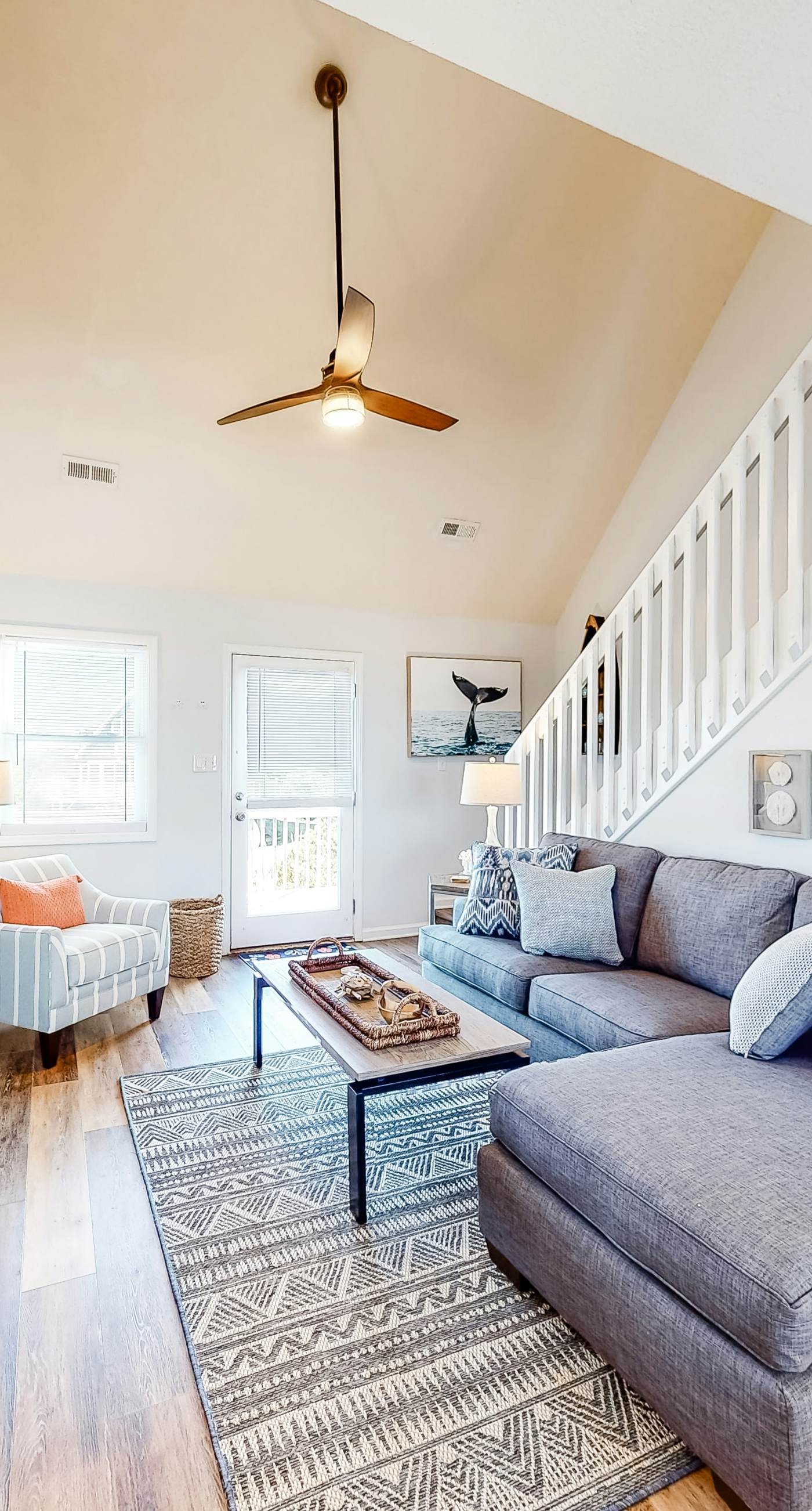 AV904 Sugar Bean Shack