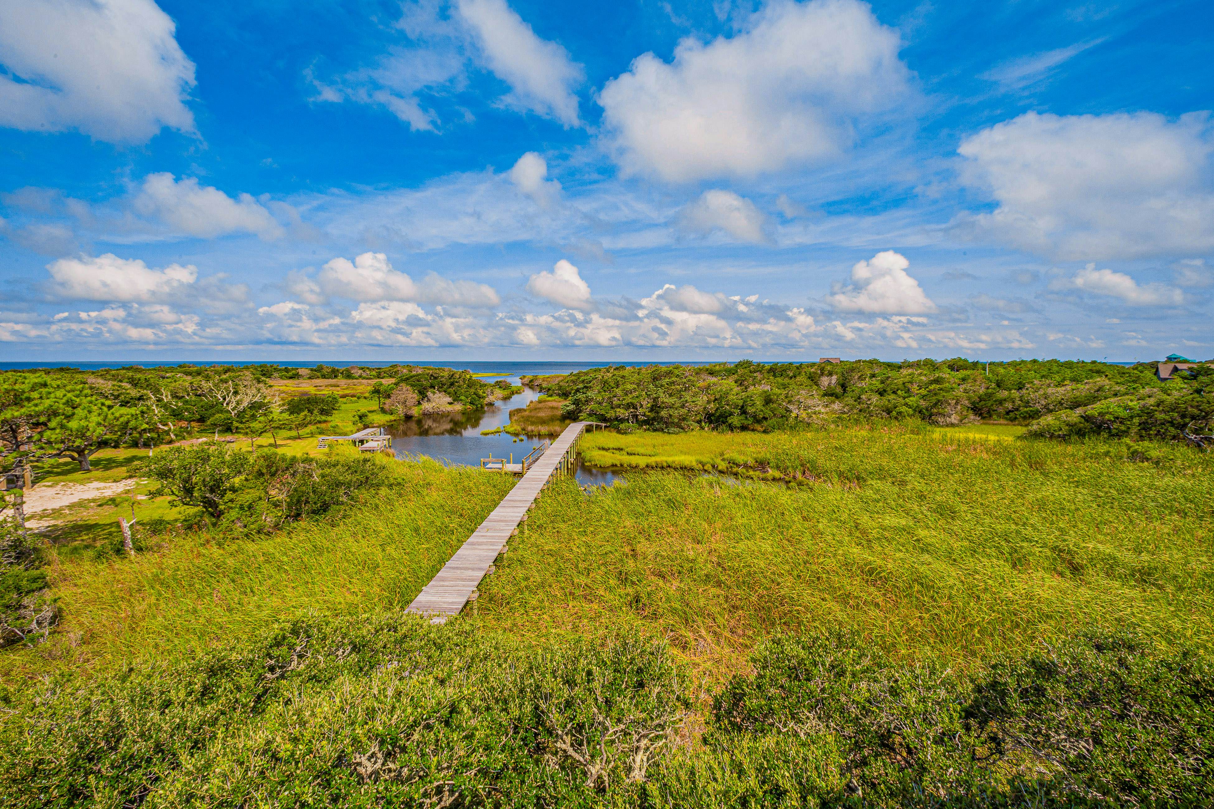 FOLE100 Oak Dunes 100