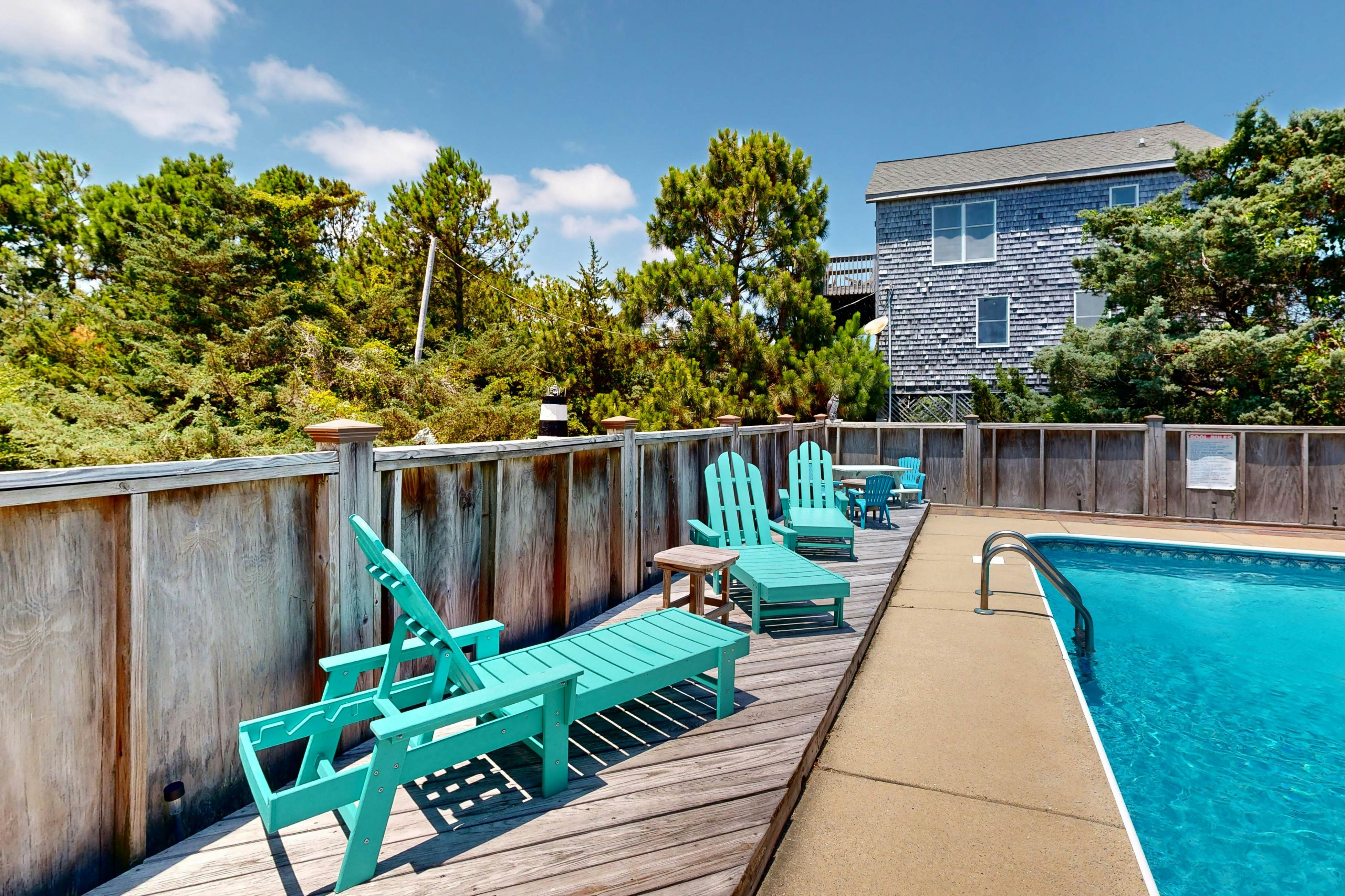 WV979 Always My Darling