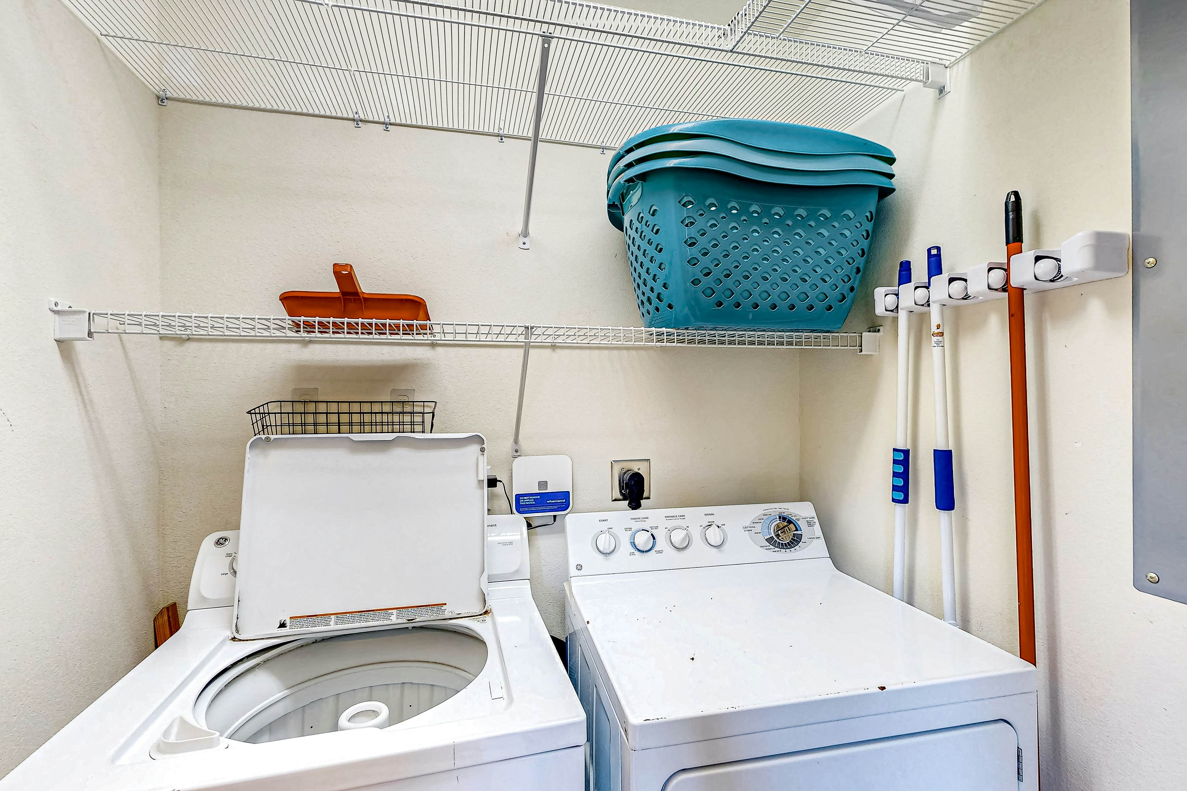 WV979 Always My Darling