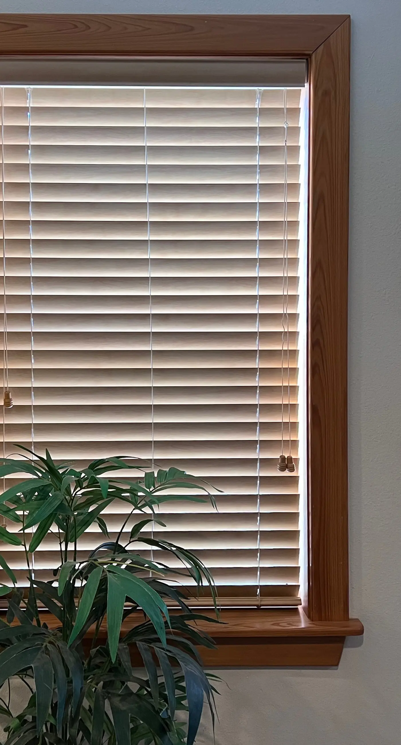 WV132 Perfect Landing