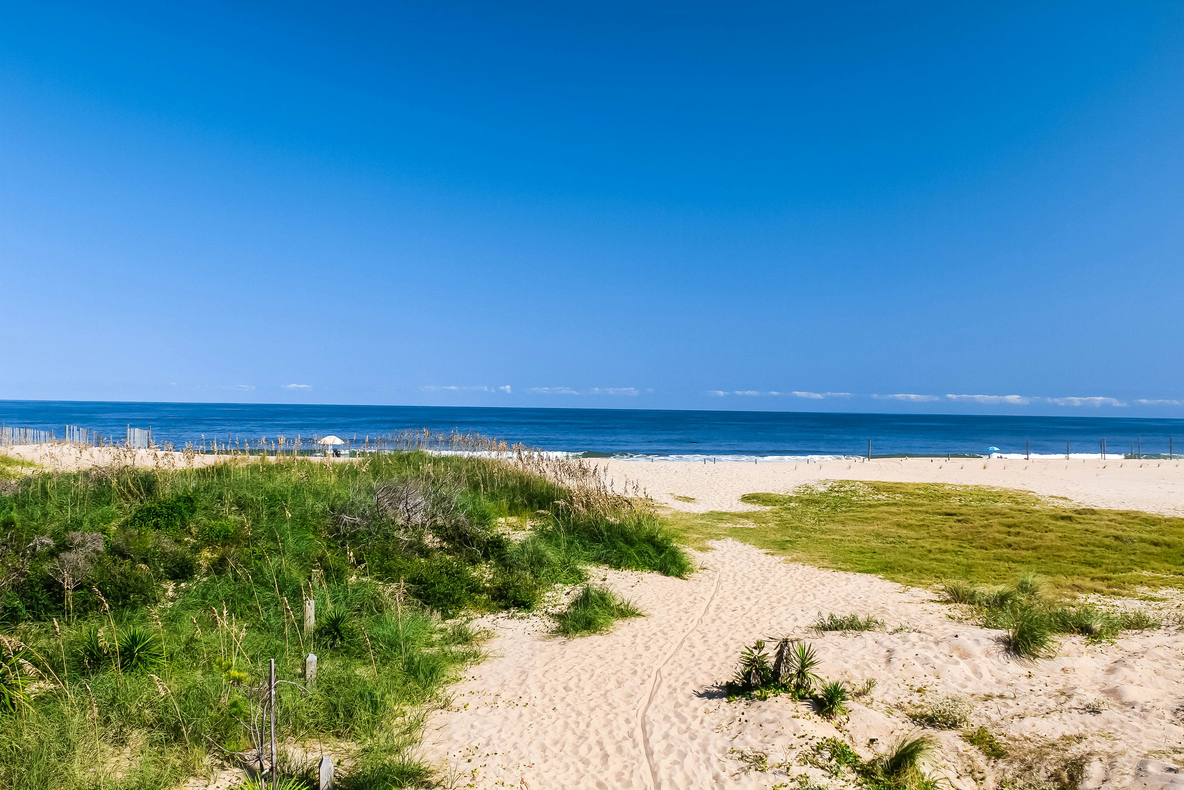 BXCACB4 Crane #4B-CAC