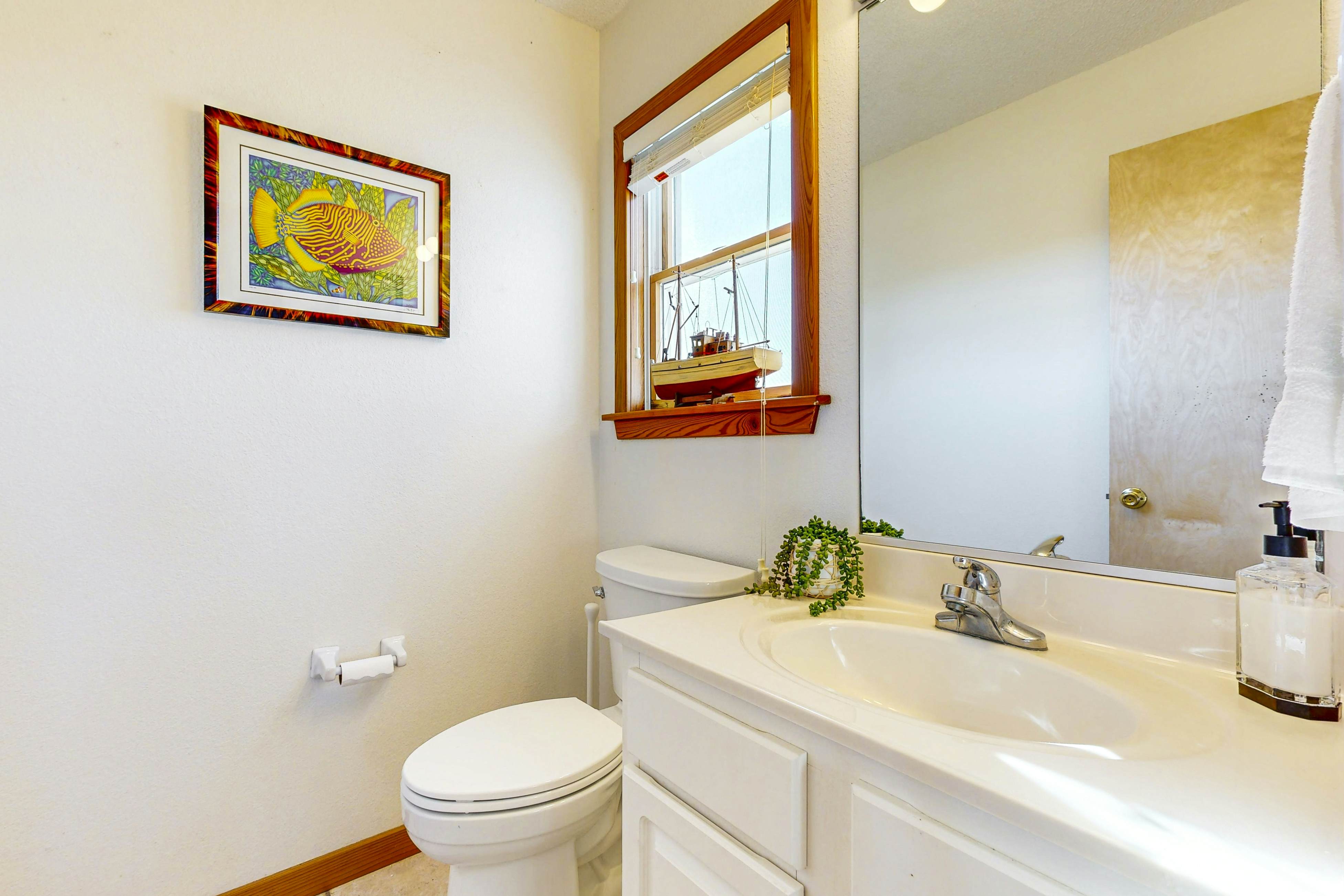 AV146 Rogue Wave 146