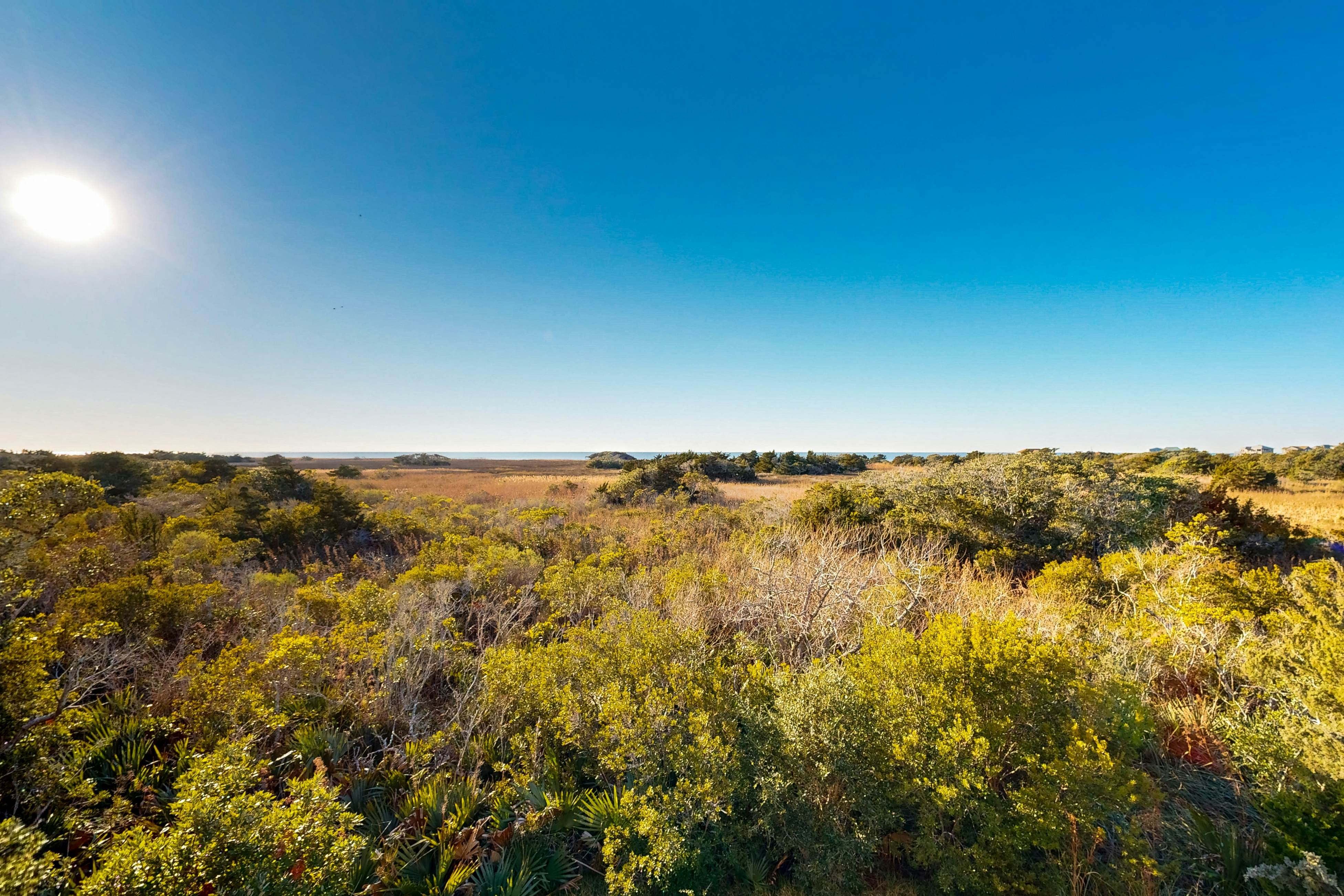 AV488 Carolina Breeze 488