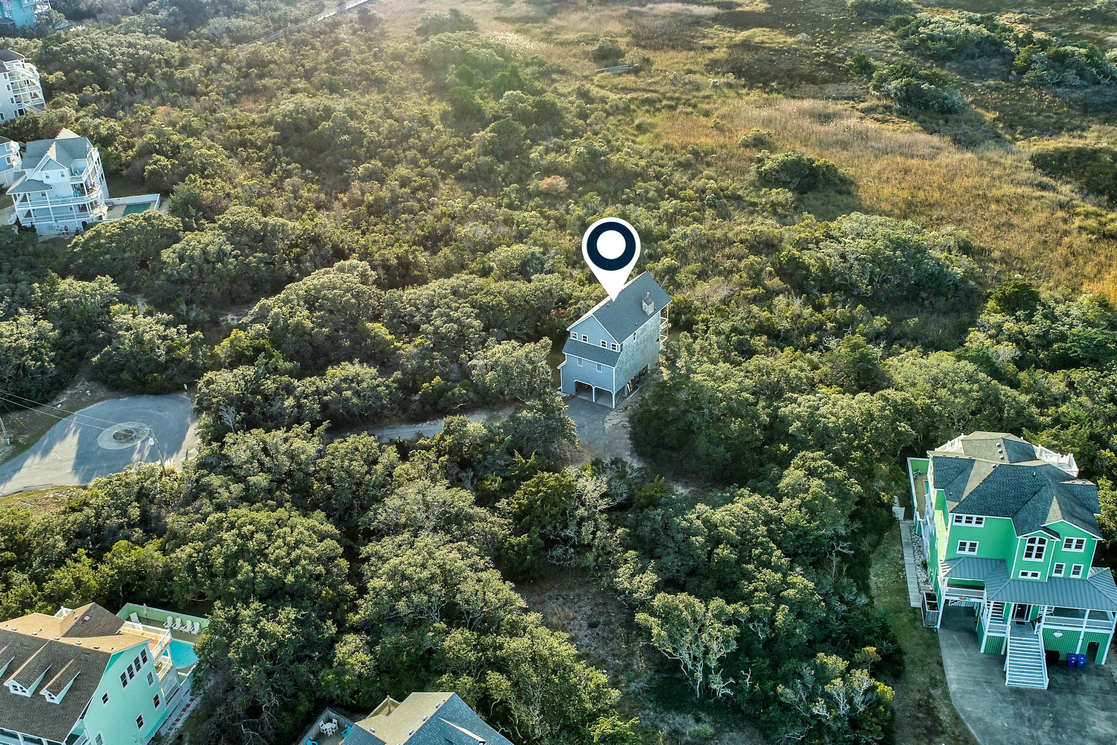 AV488 Carolina Breeze 488