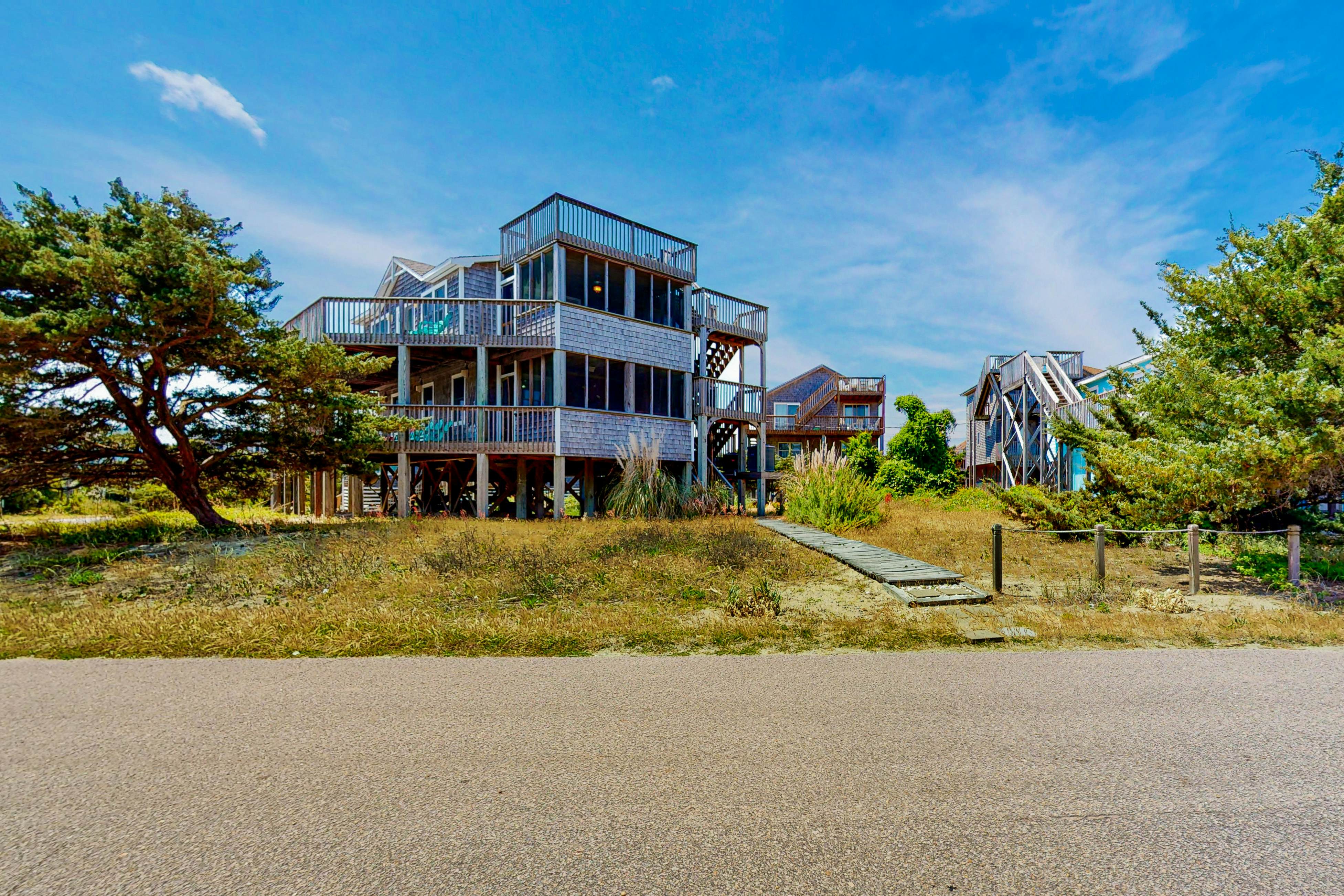 AV106 Dancing Dolphin 106