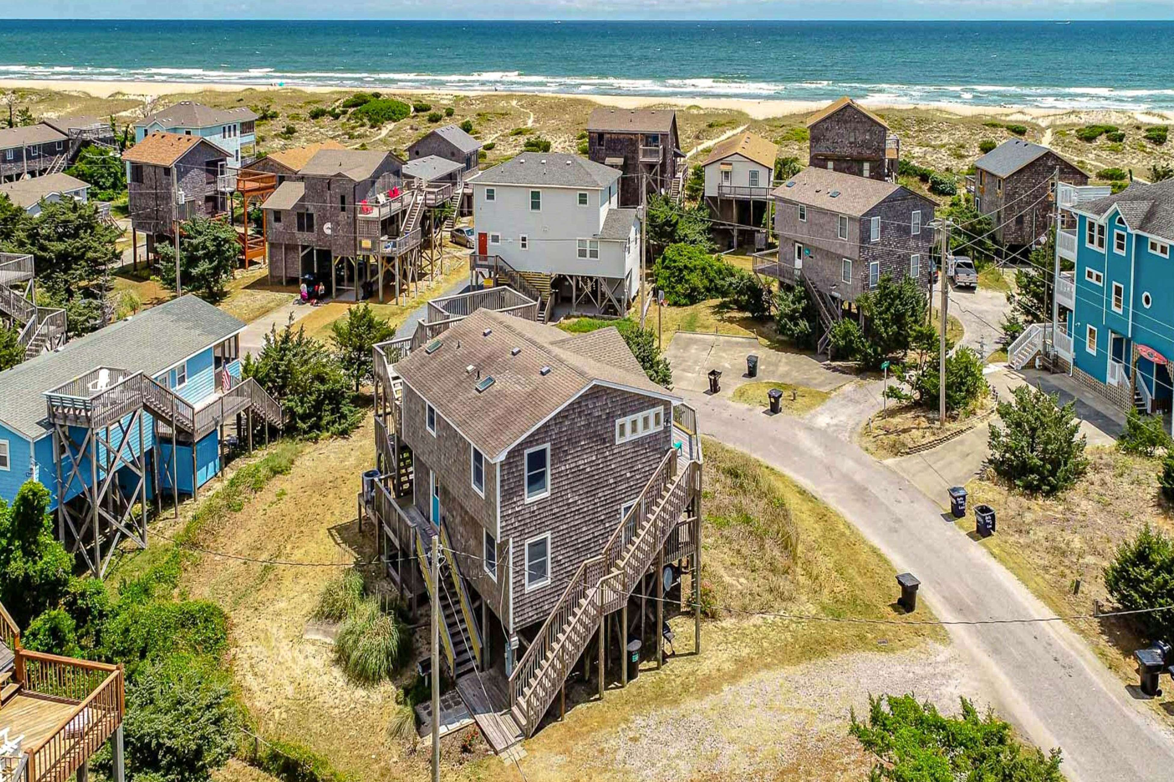 AV106 Dancing Dolphin 106