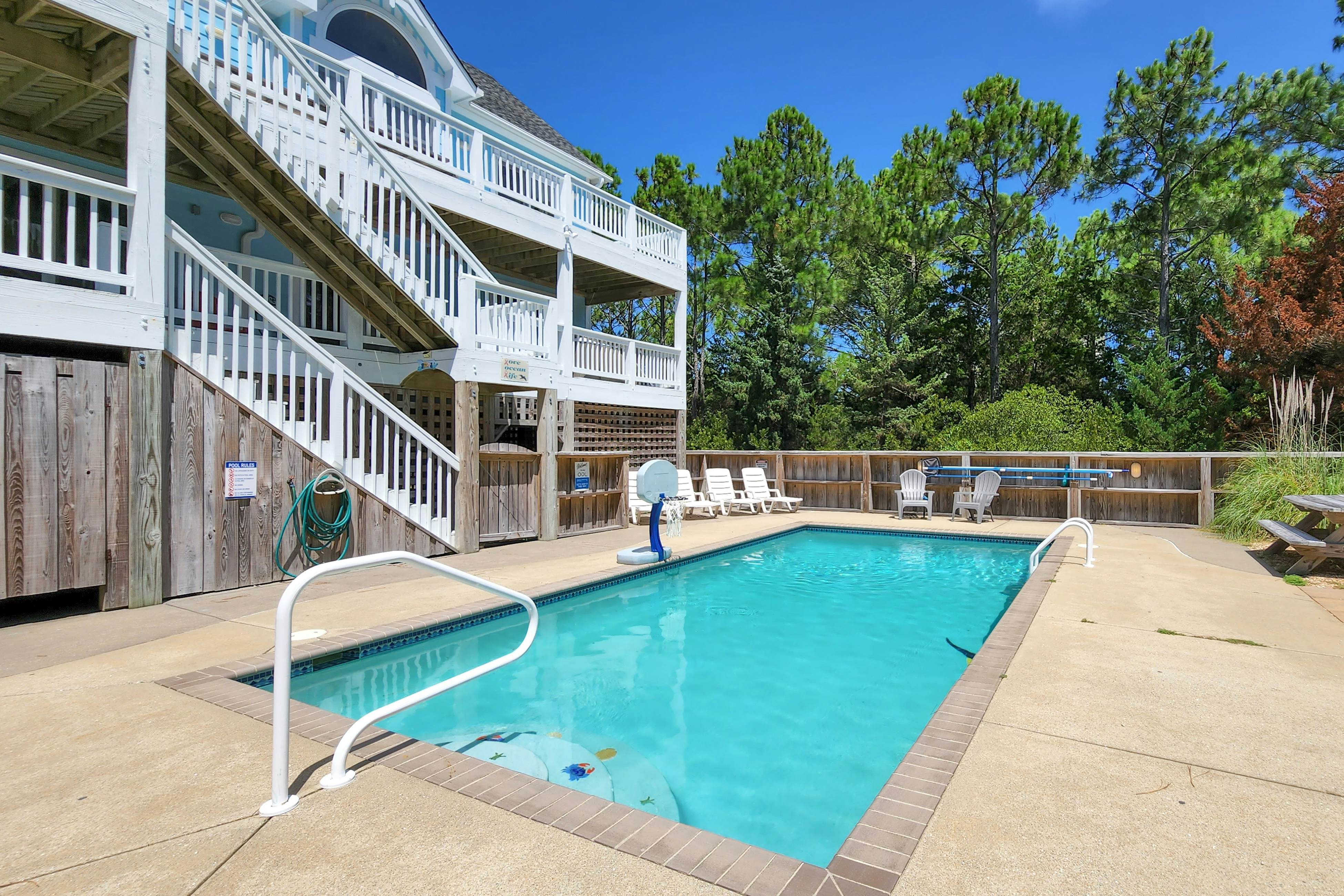 SO03 The Seagull's French Fry