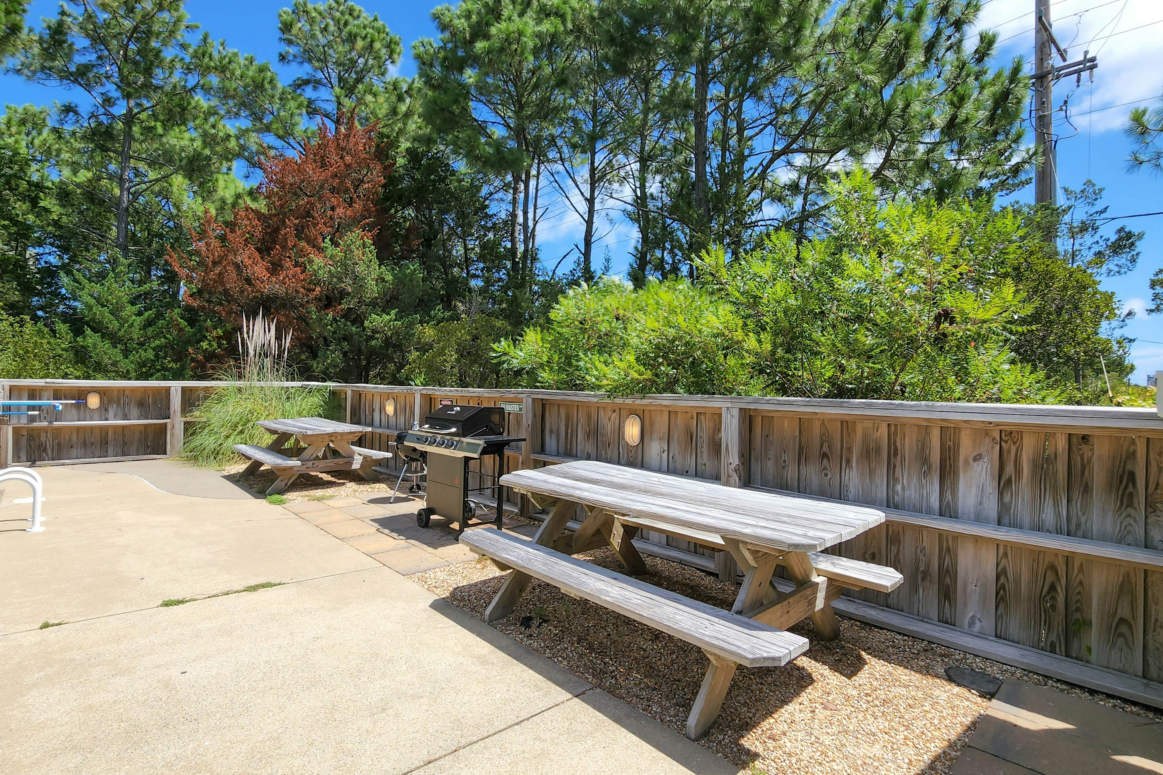 SO03 The Seagull's French Fry