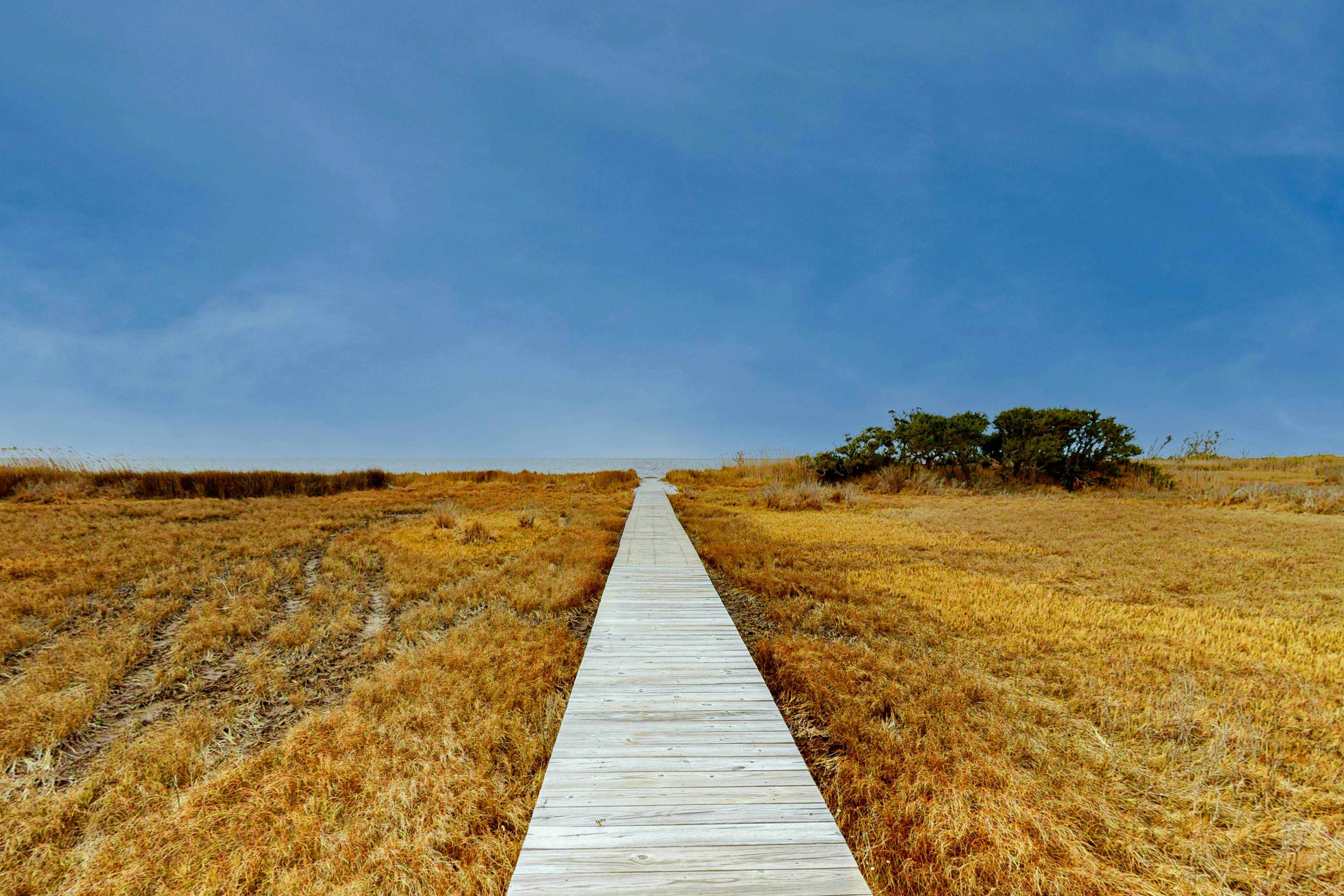 FOHW121 Osprey Landing  #1-F