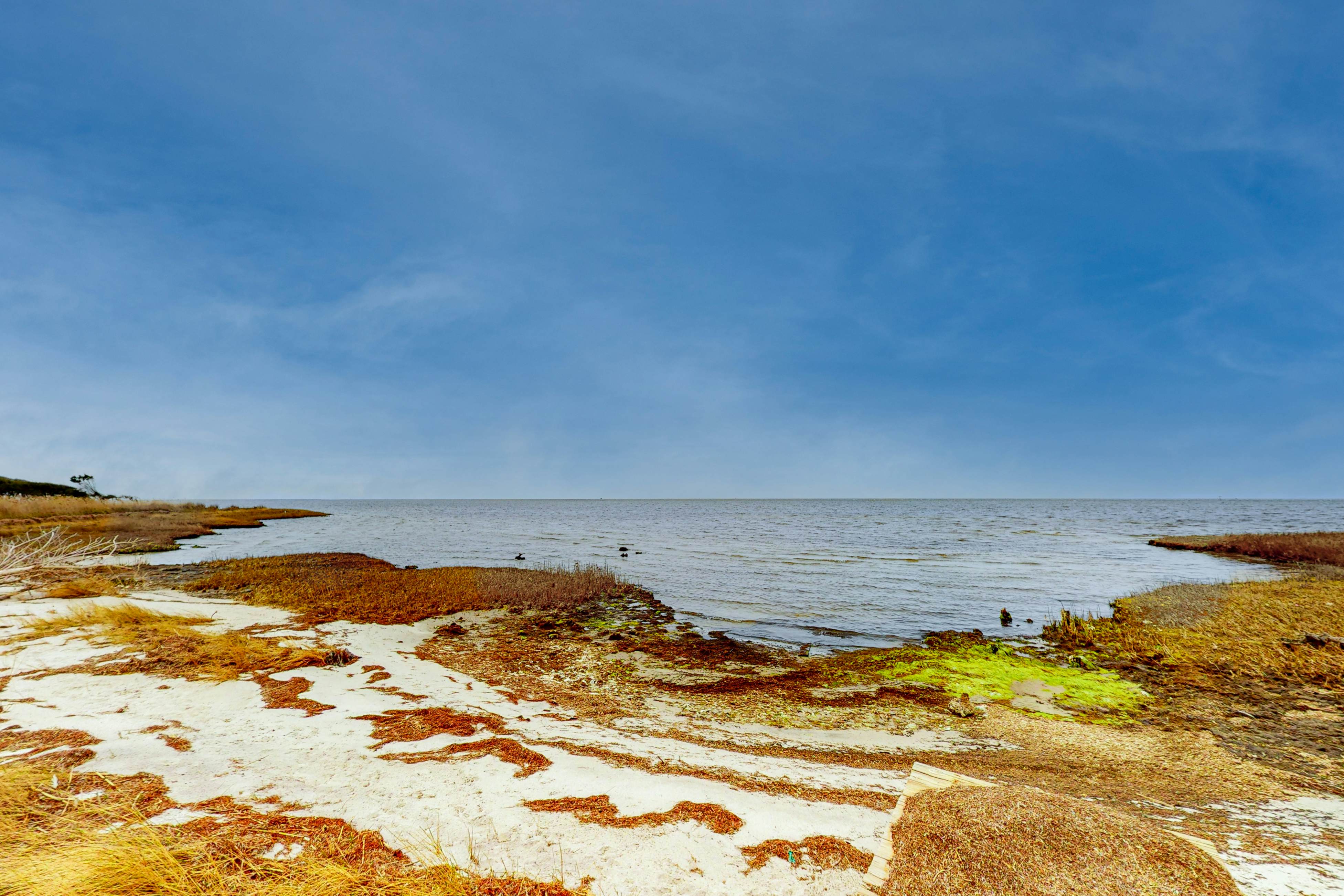 FOHW121 Osprey Landing  #1-F