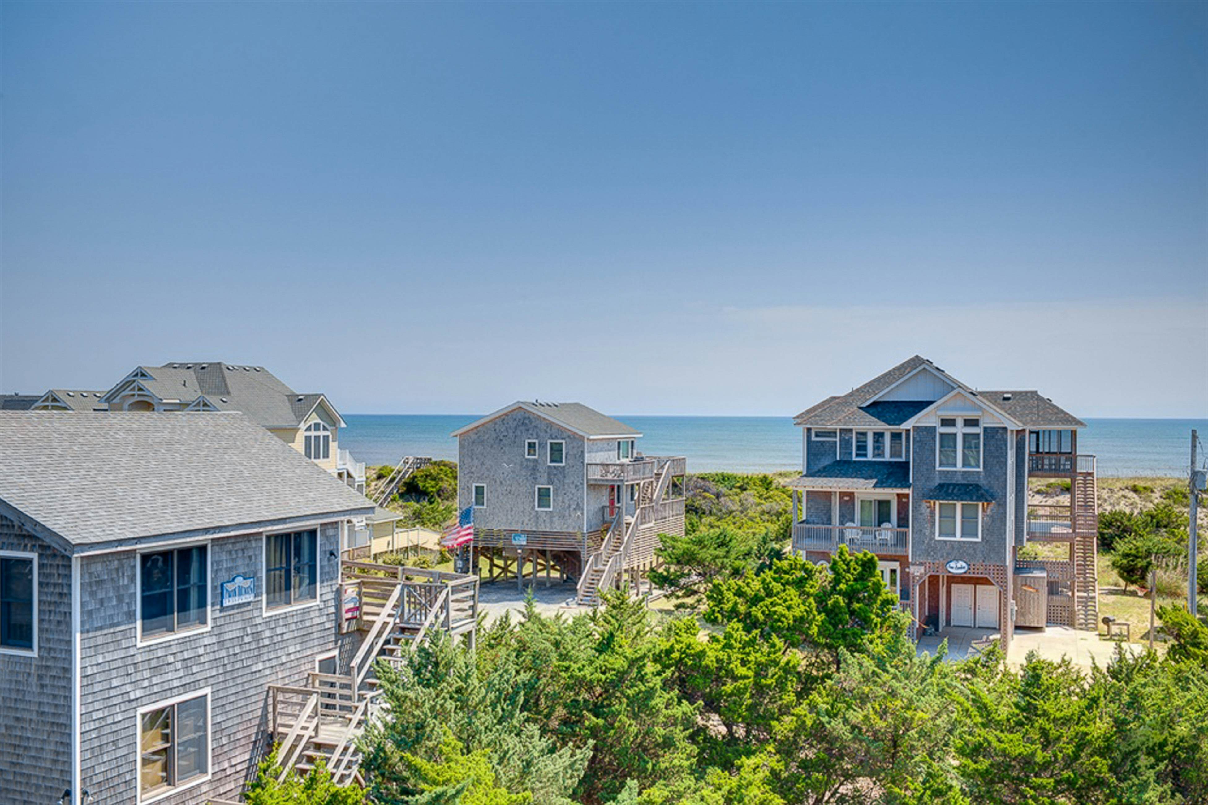 AV319 Pelican Watch 319