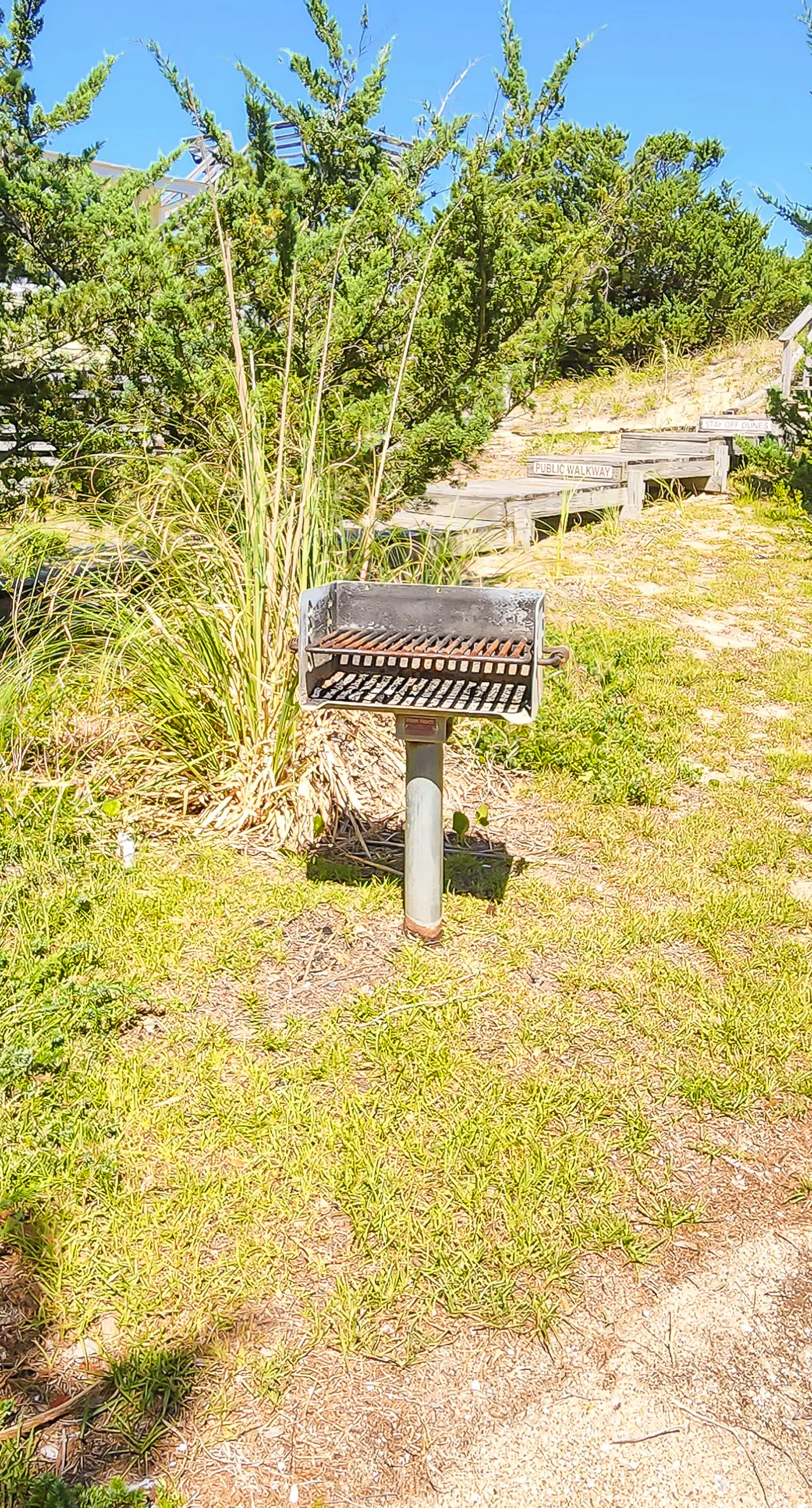Piper's Nest