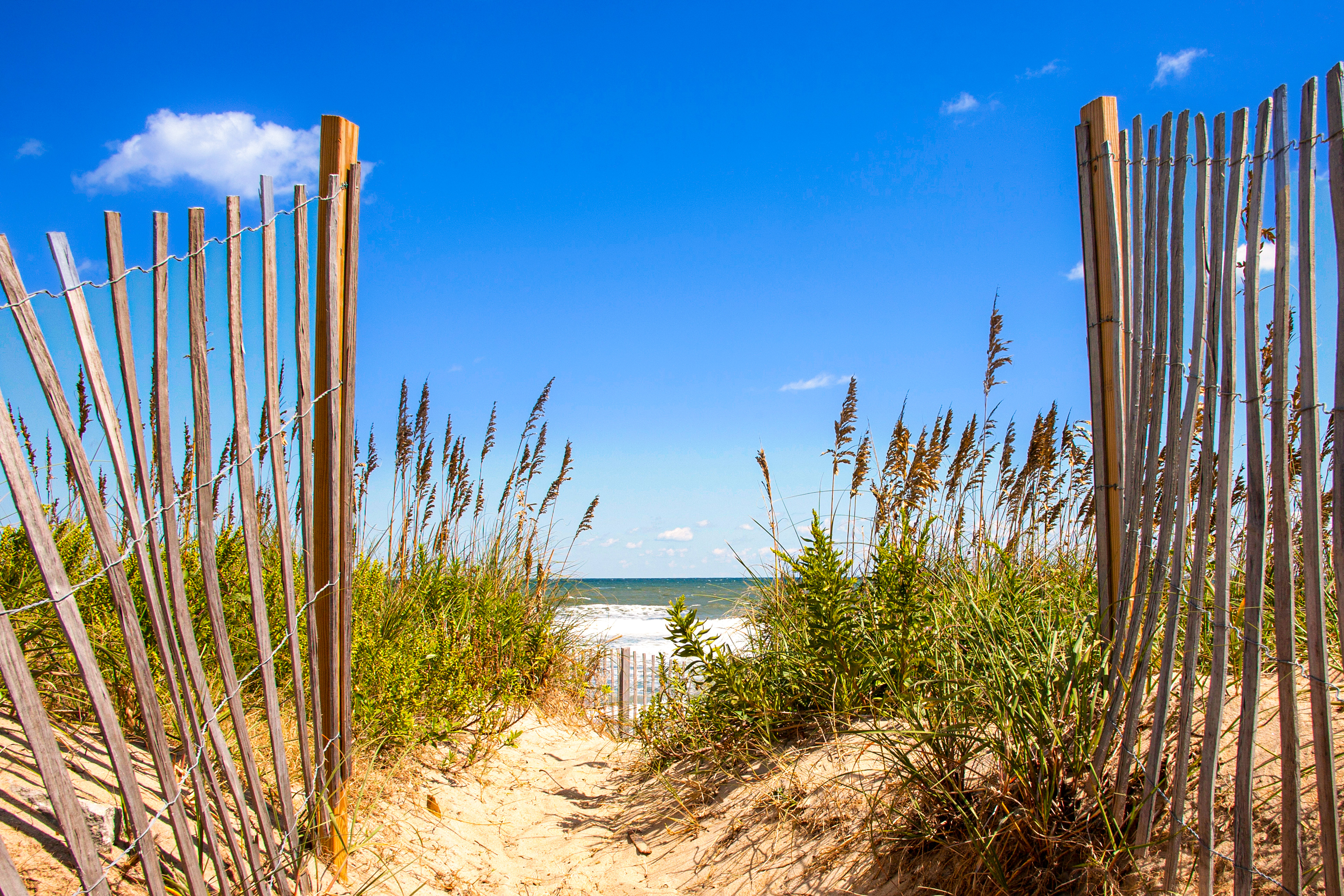 Dog-friendly, oceanfront home in the dunes with observation deck & WiFi