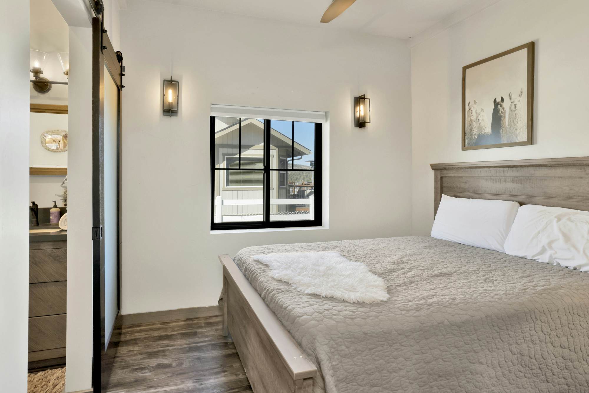 2572-Golden Bear at Shay Meadows