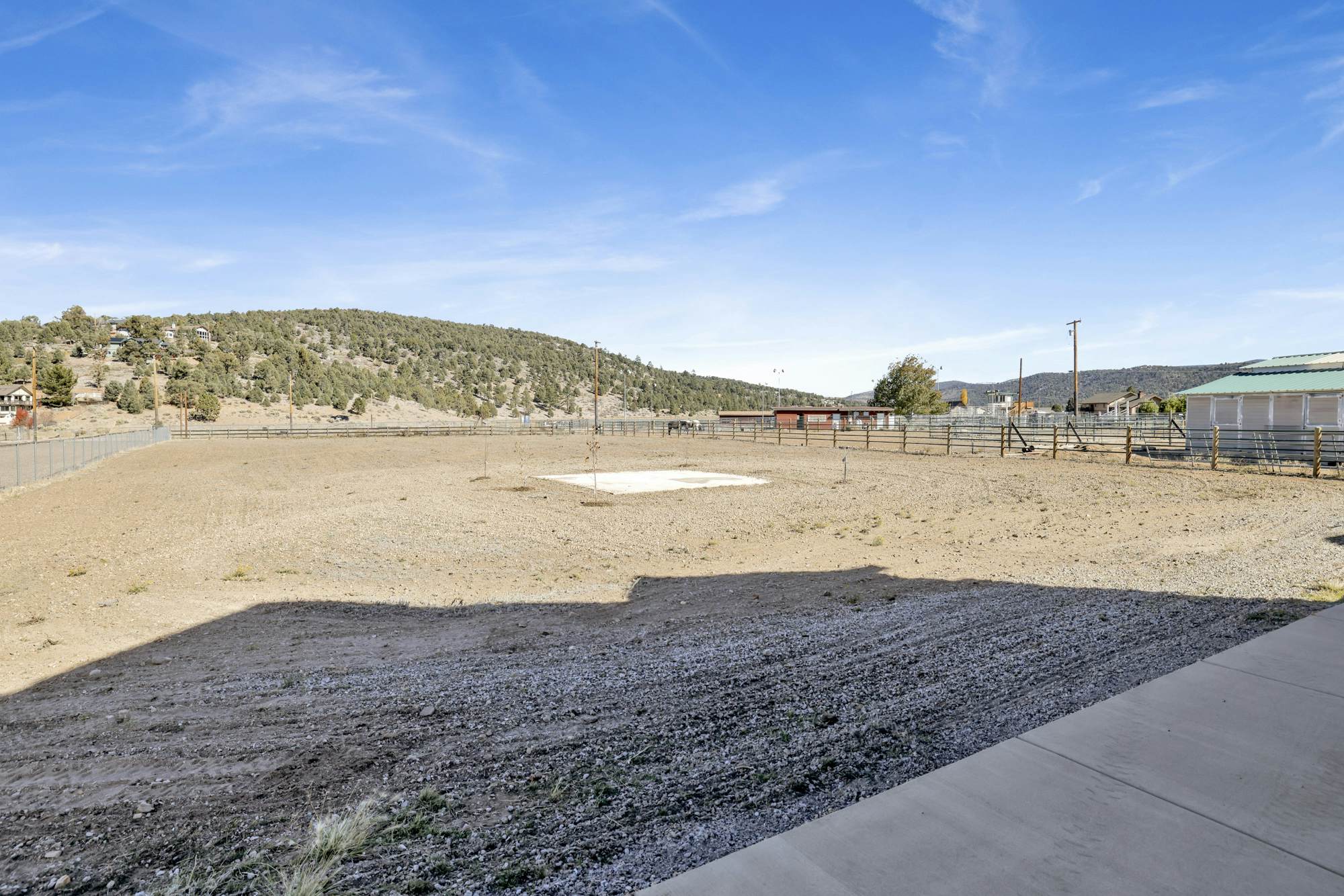 2572-Golden Bear at Shay Meadows