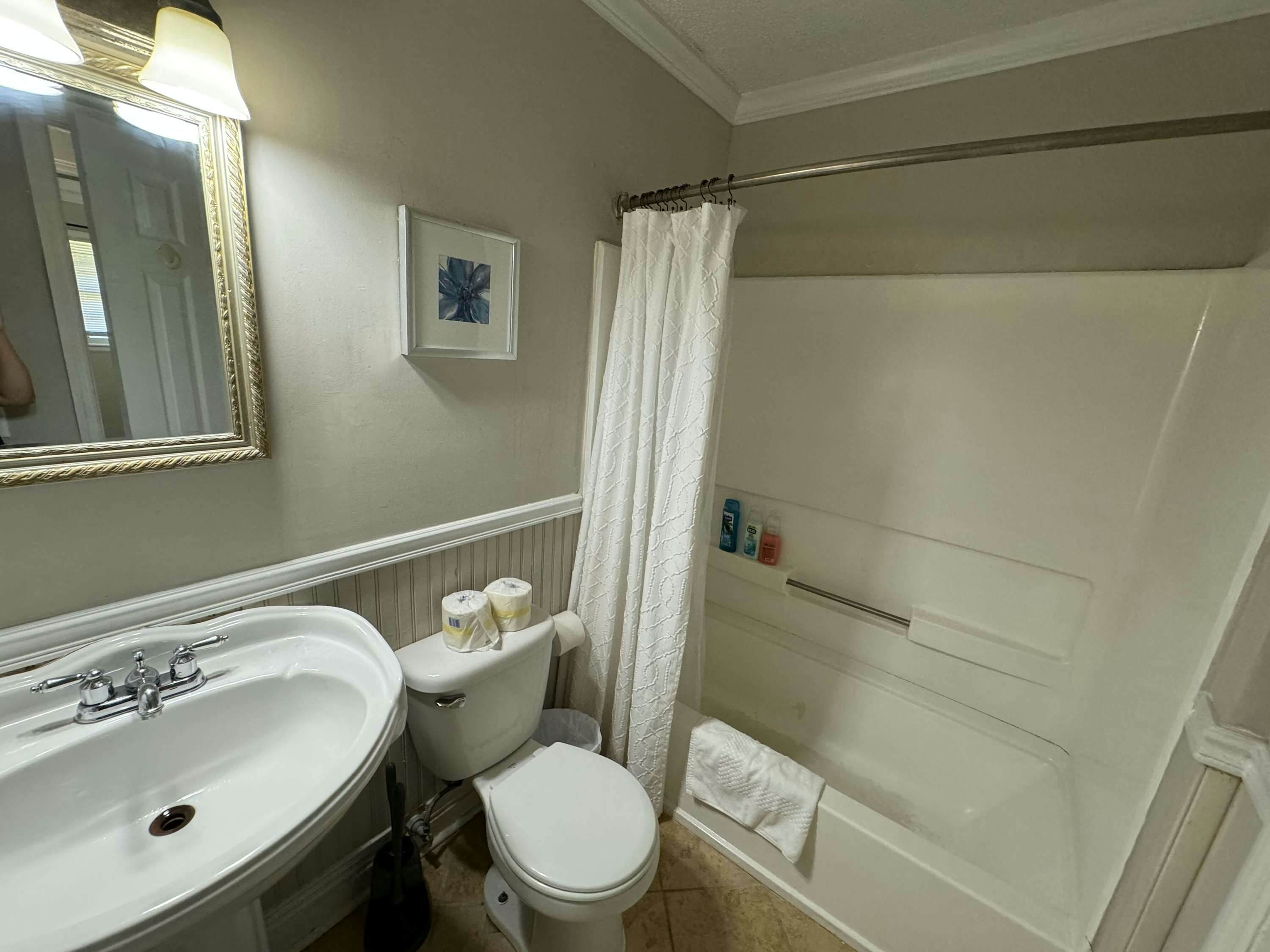 Z_4017RnnieSt_Columbia