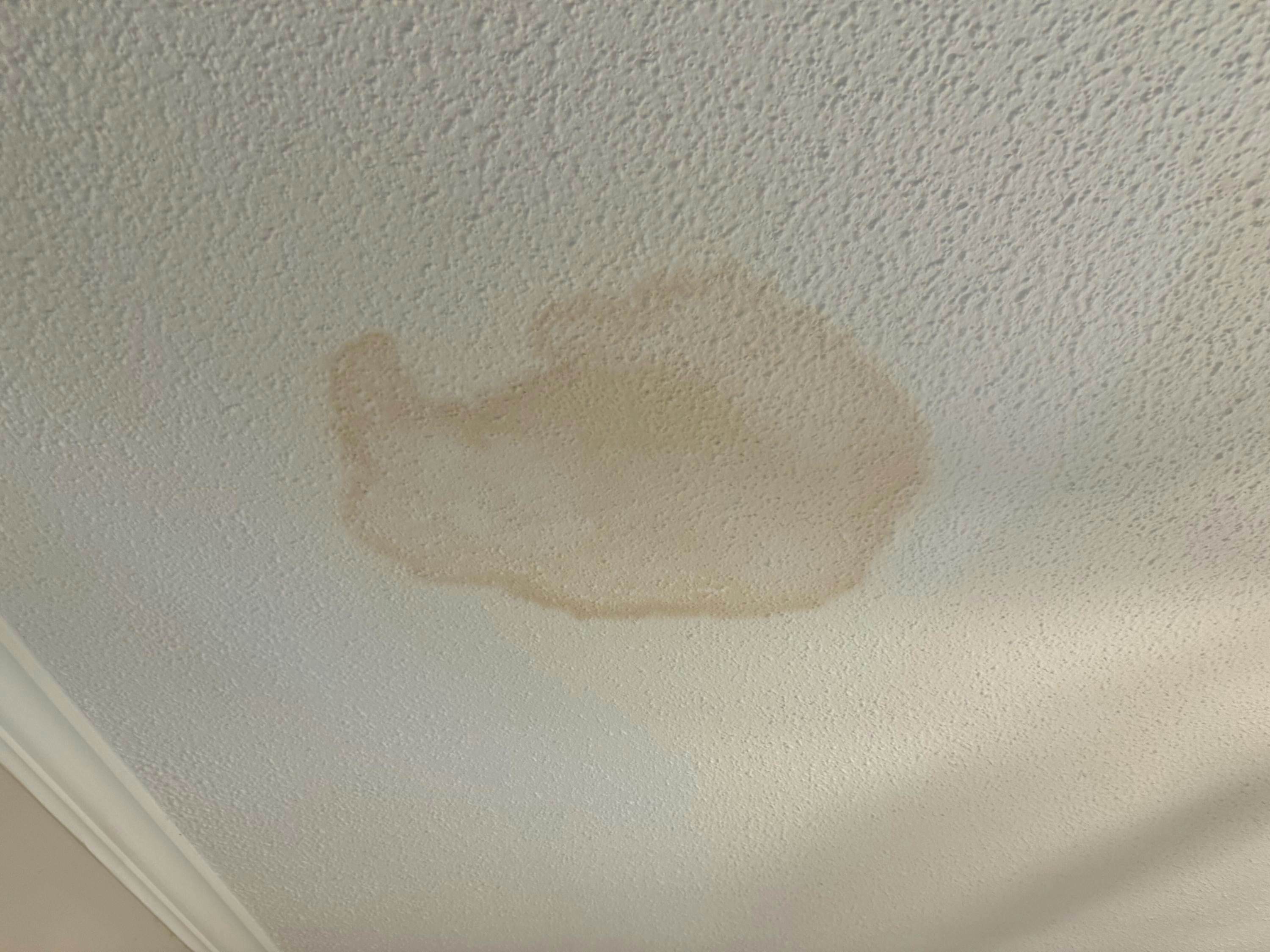 Z_4017RnnieSt_Columbia