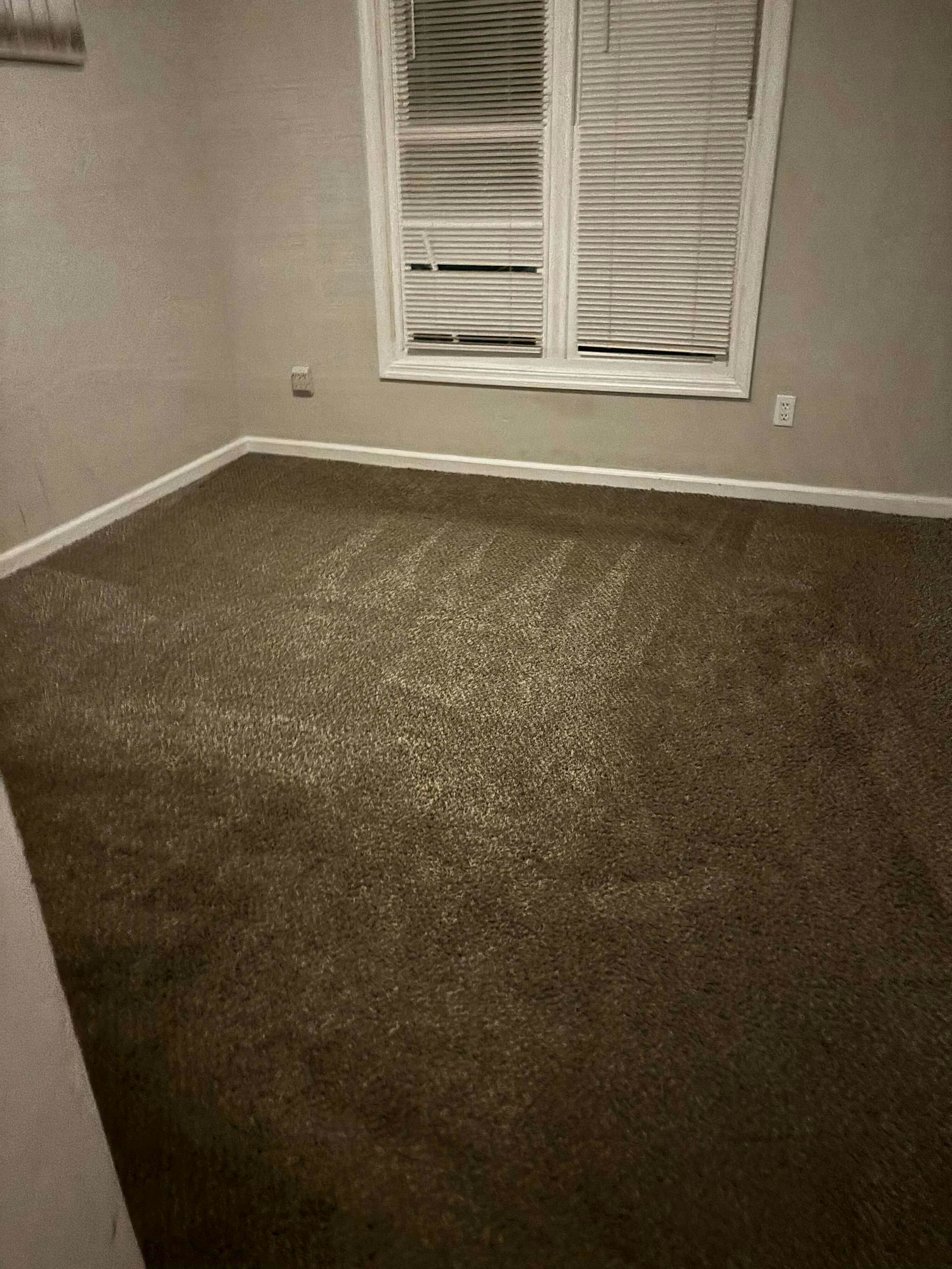 L_206GldstnDr_Columbia