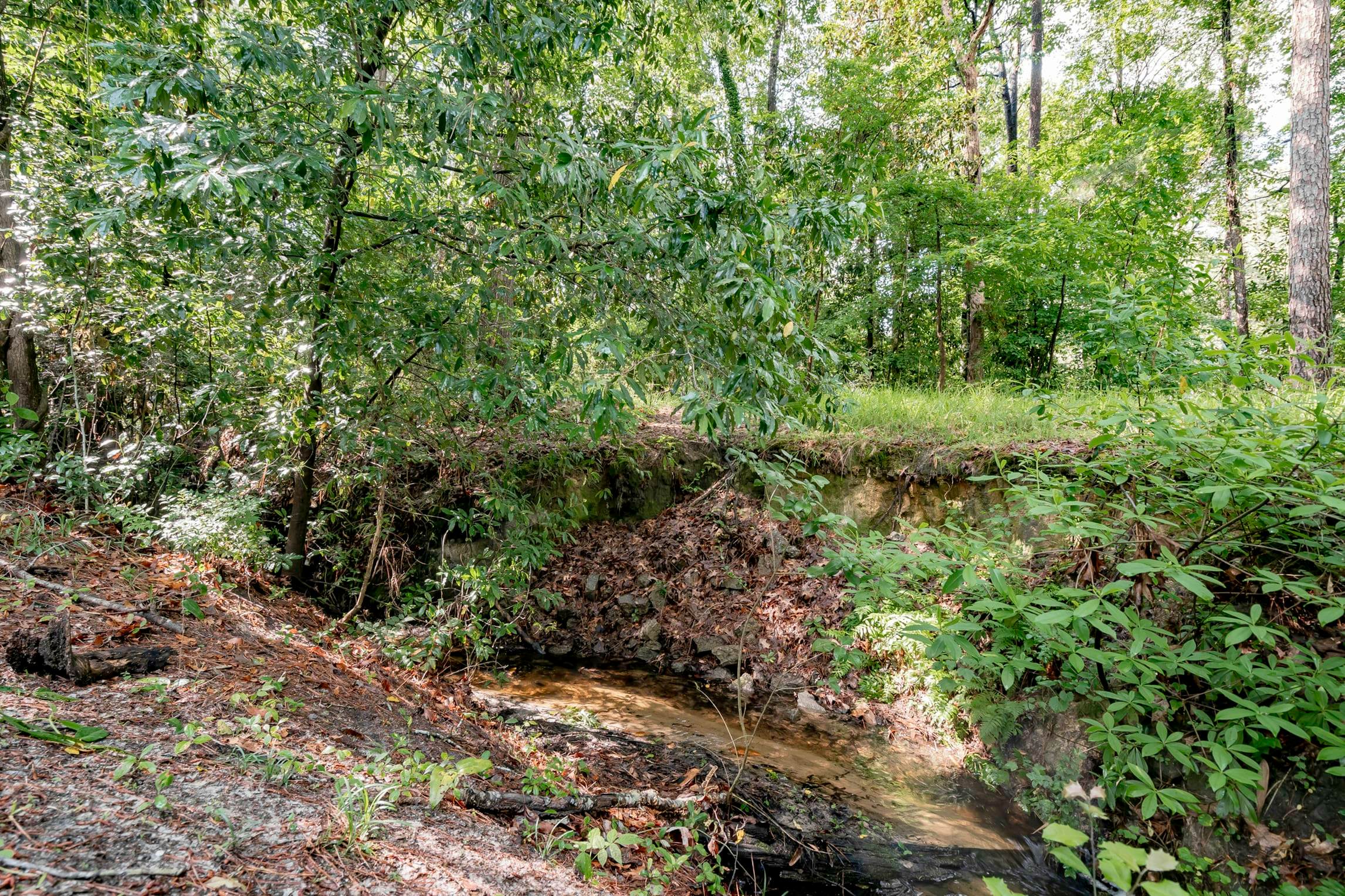 O_7704Drtmore_Columbia