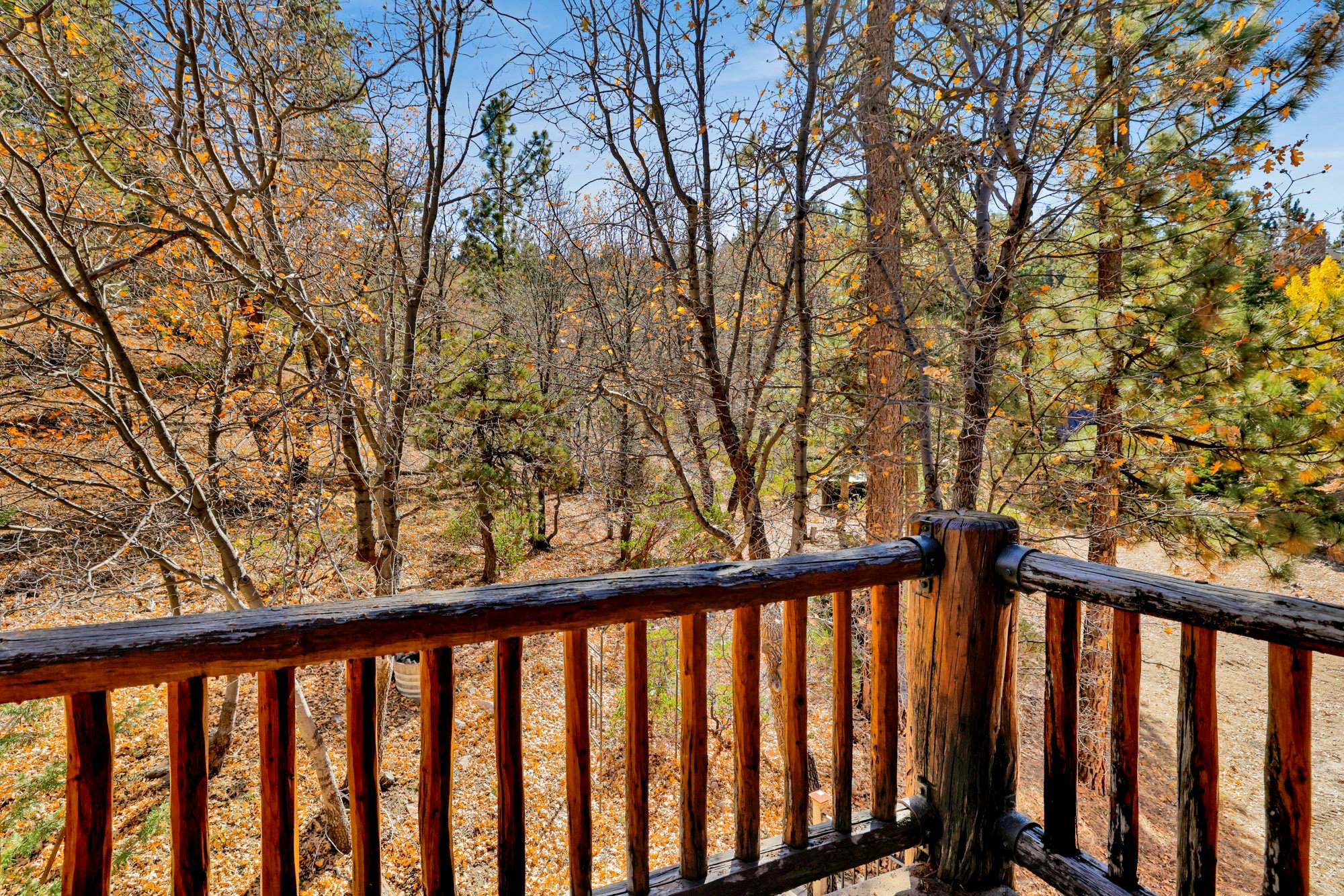 2597-The Village Timber Lodge