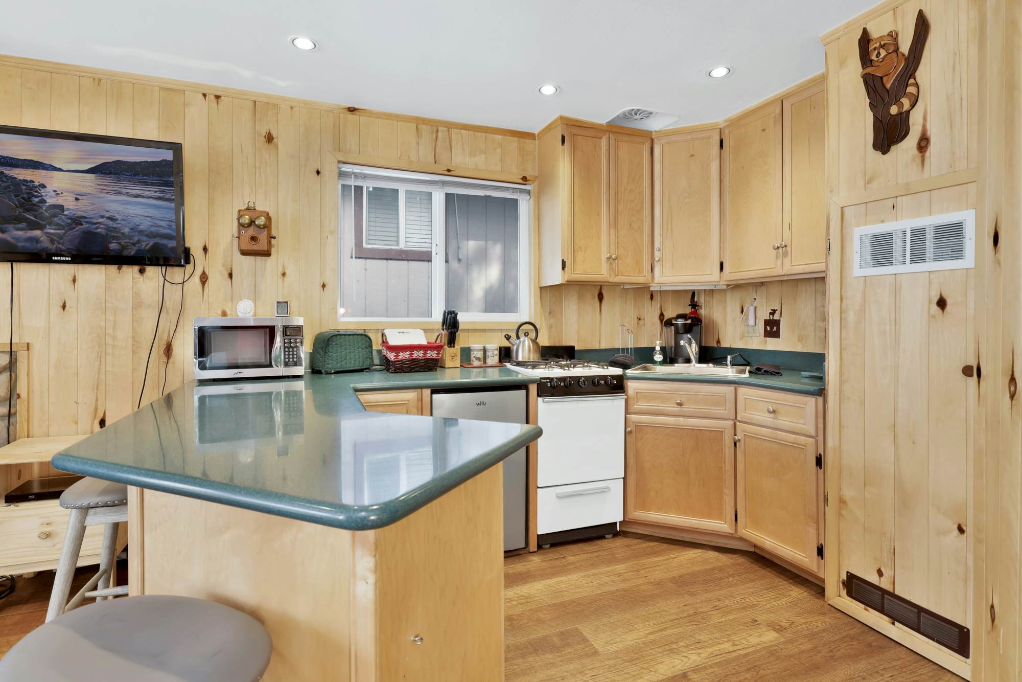 1667-Cottage in the Pines