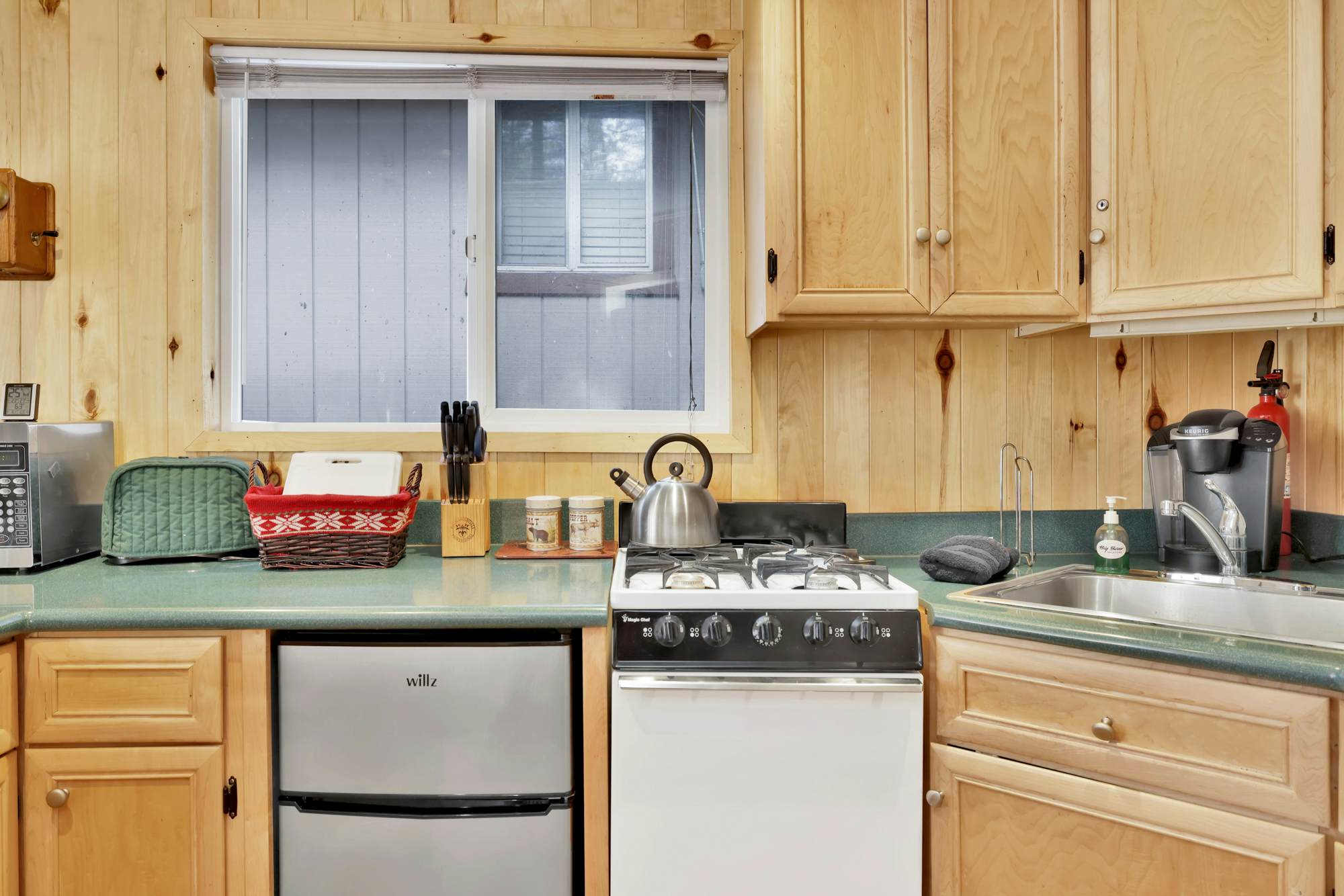 1667-Cottage in the Pines