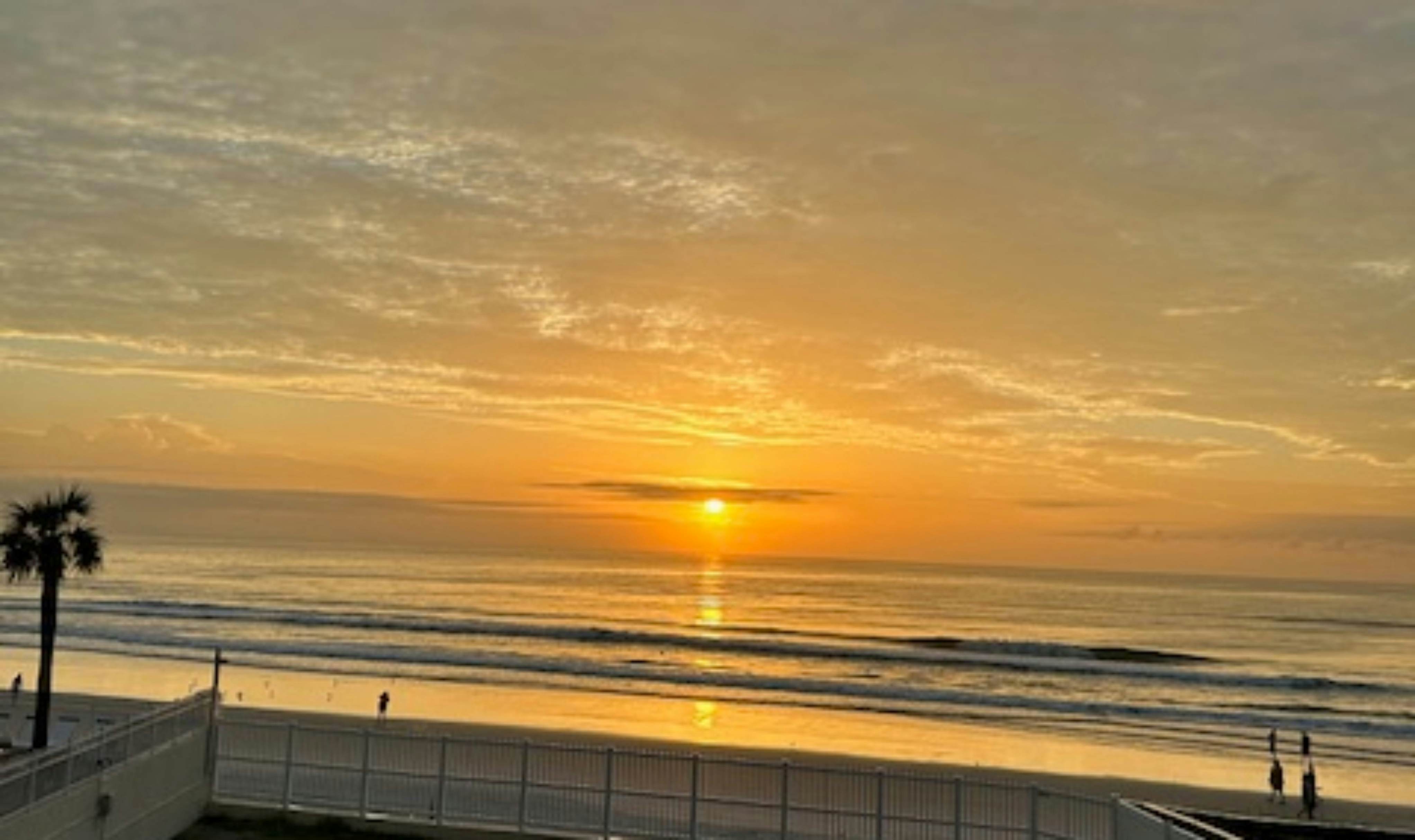 Harbour Beach Resort 213