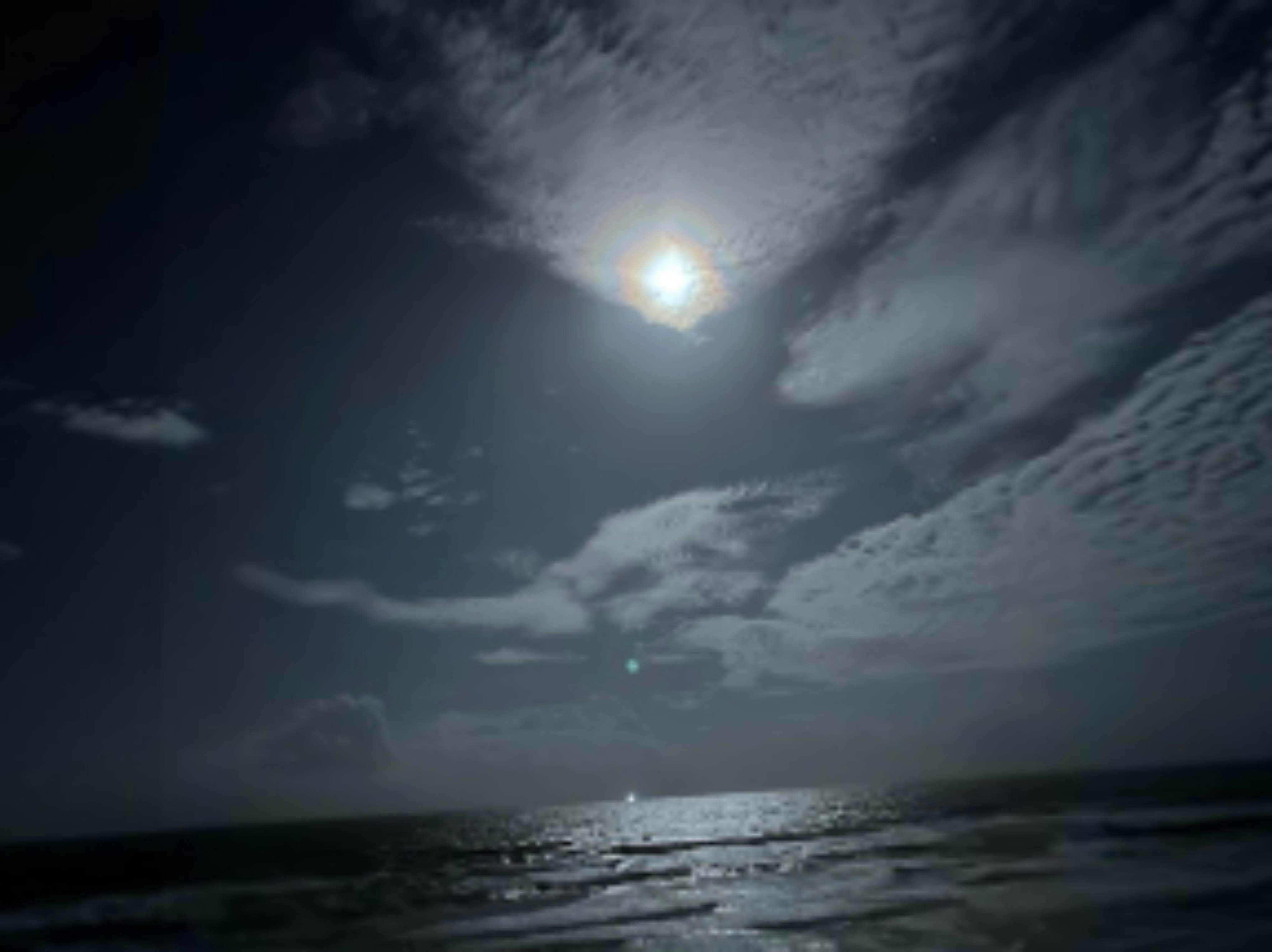 Harbour Beach Resort 213