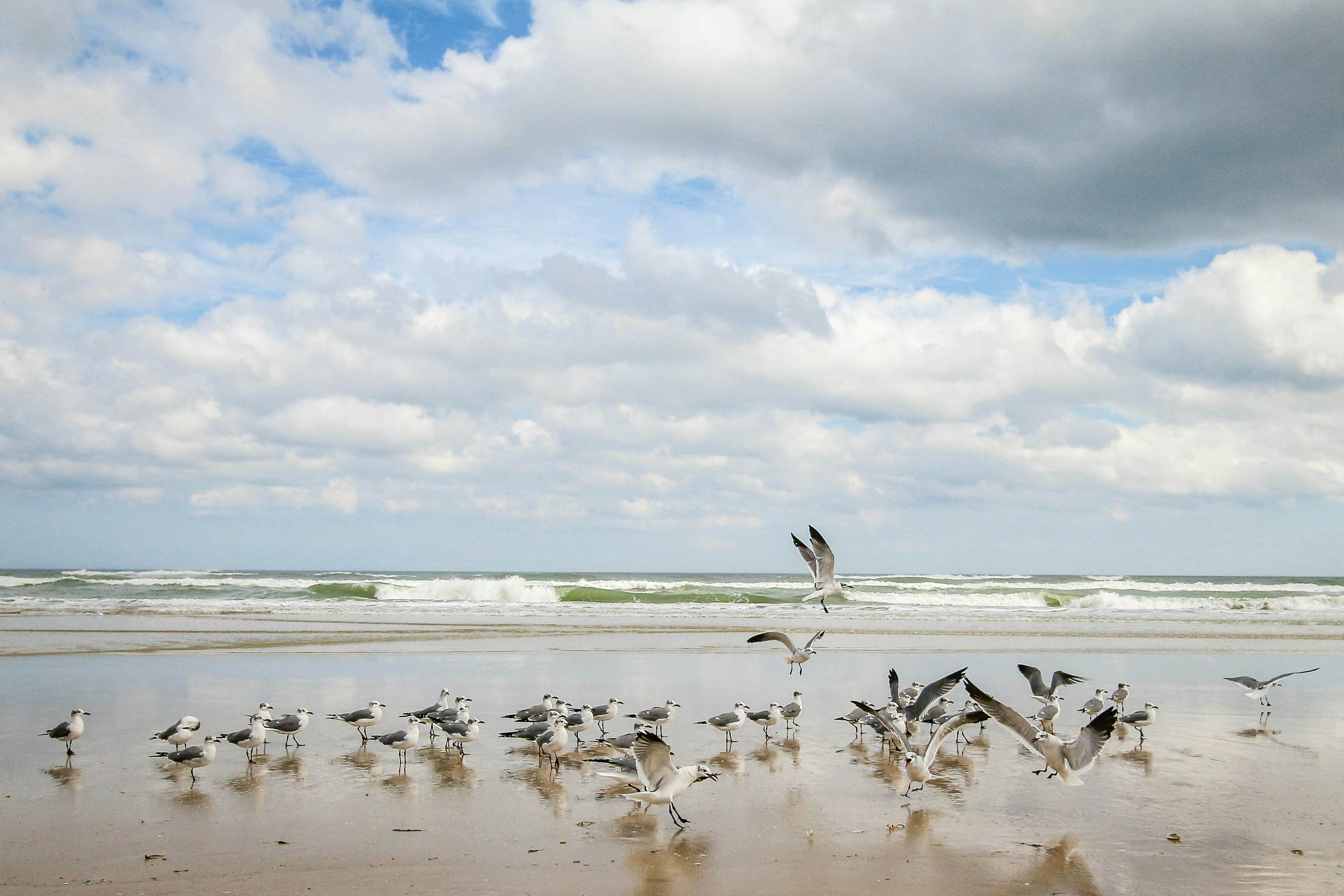 Harbour Beach Resort 507