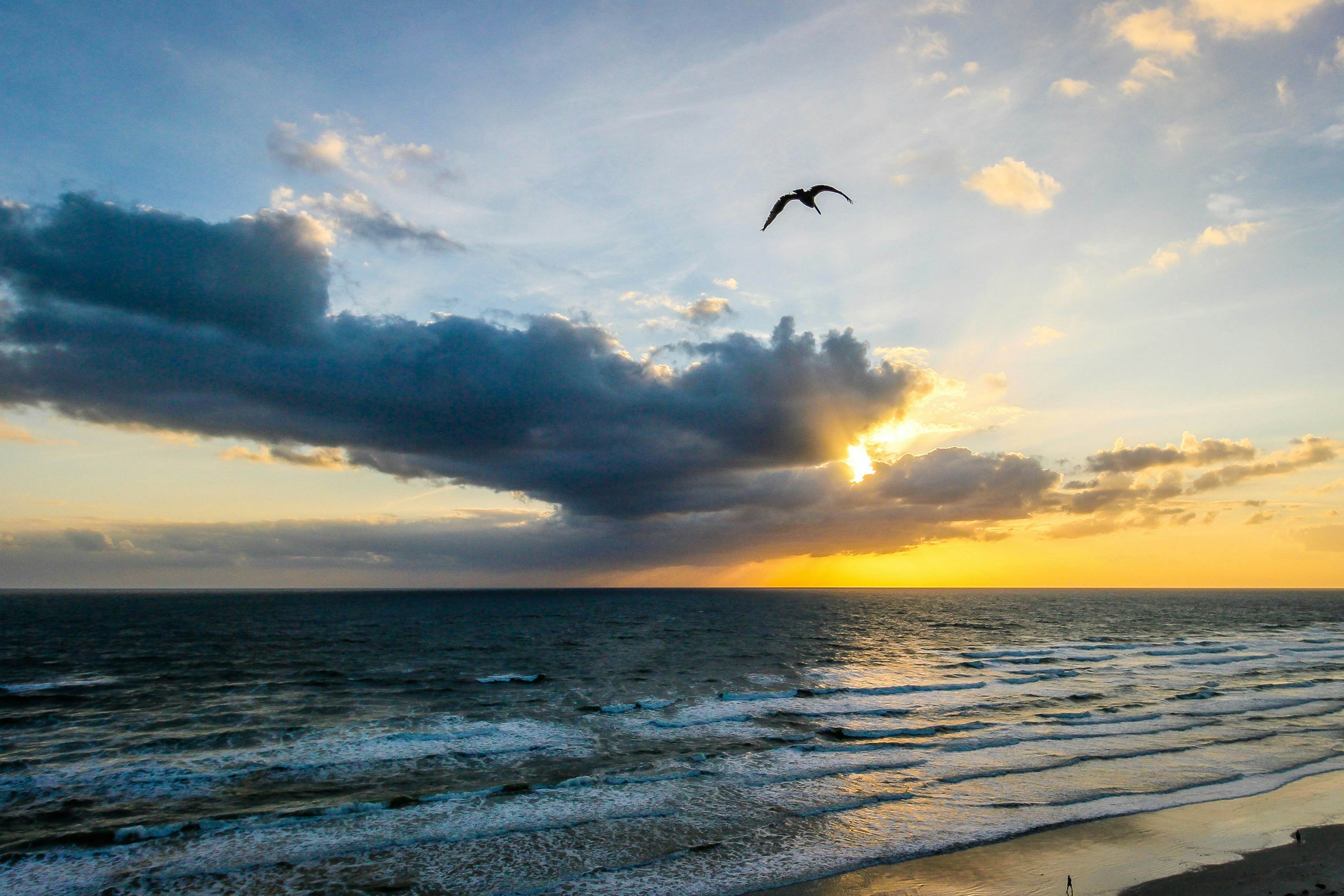 Harbour Beach Resort 511