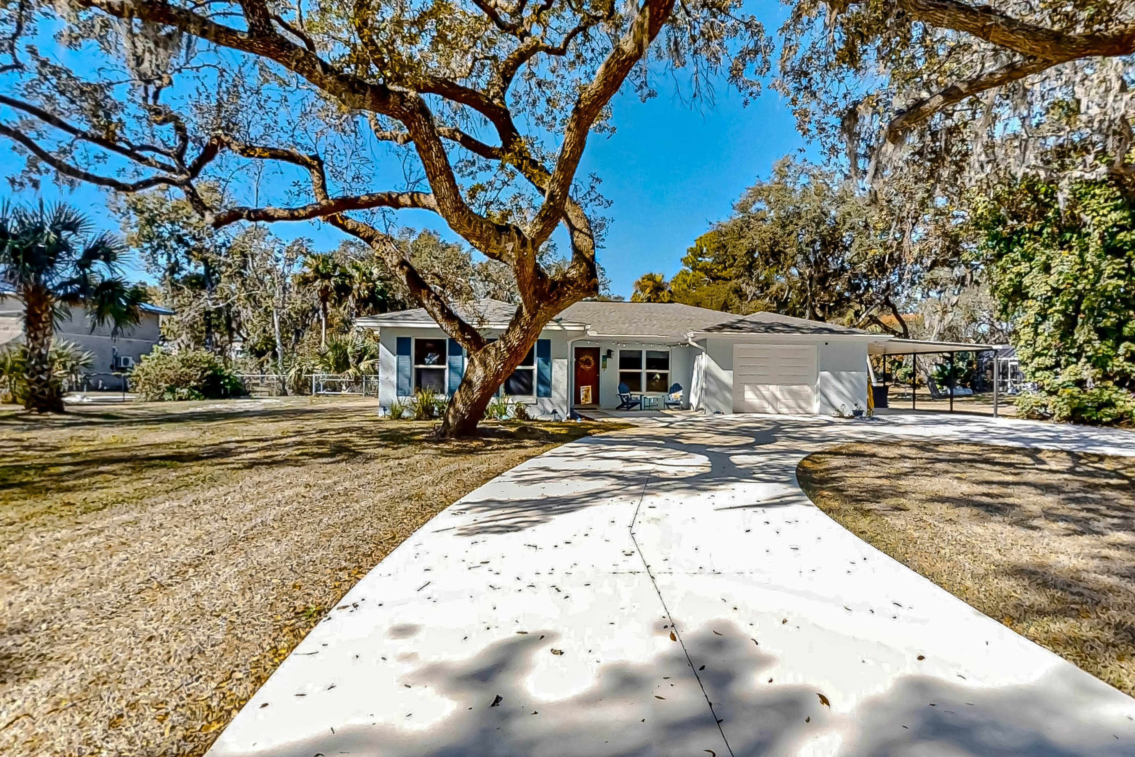 Linda's Lizard Landing