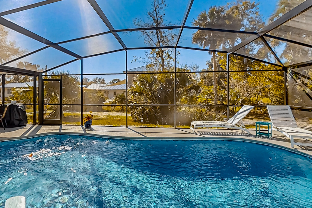 Linda's Lizard Landing