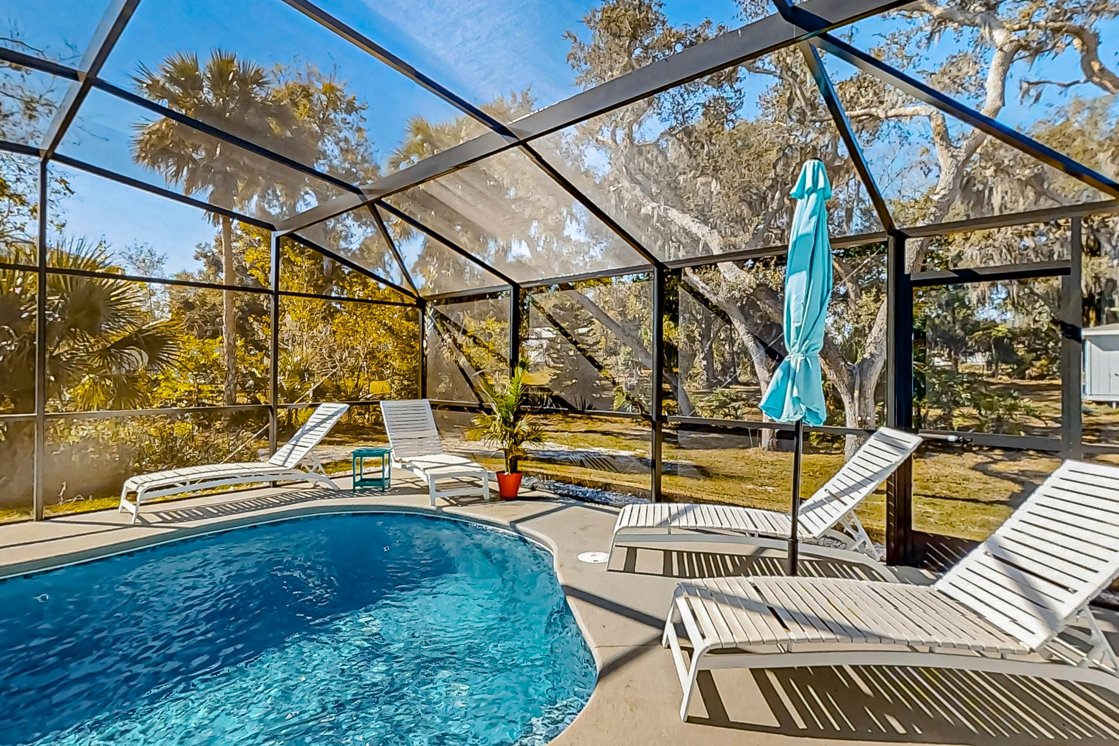 Linda's Lizard Landing