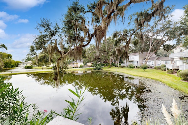 Charming island condo with loft, full kitchen, deck & turtle feeding stations