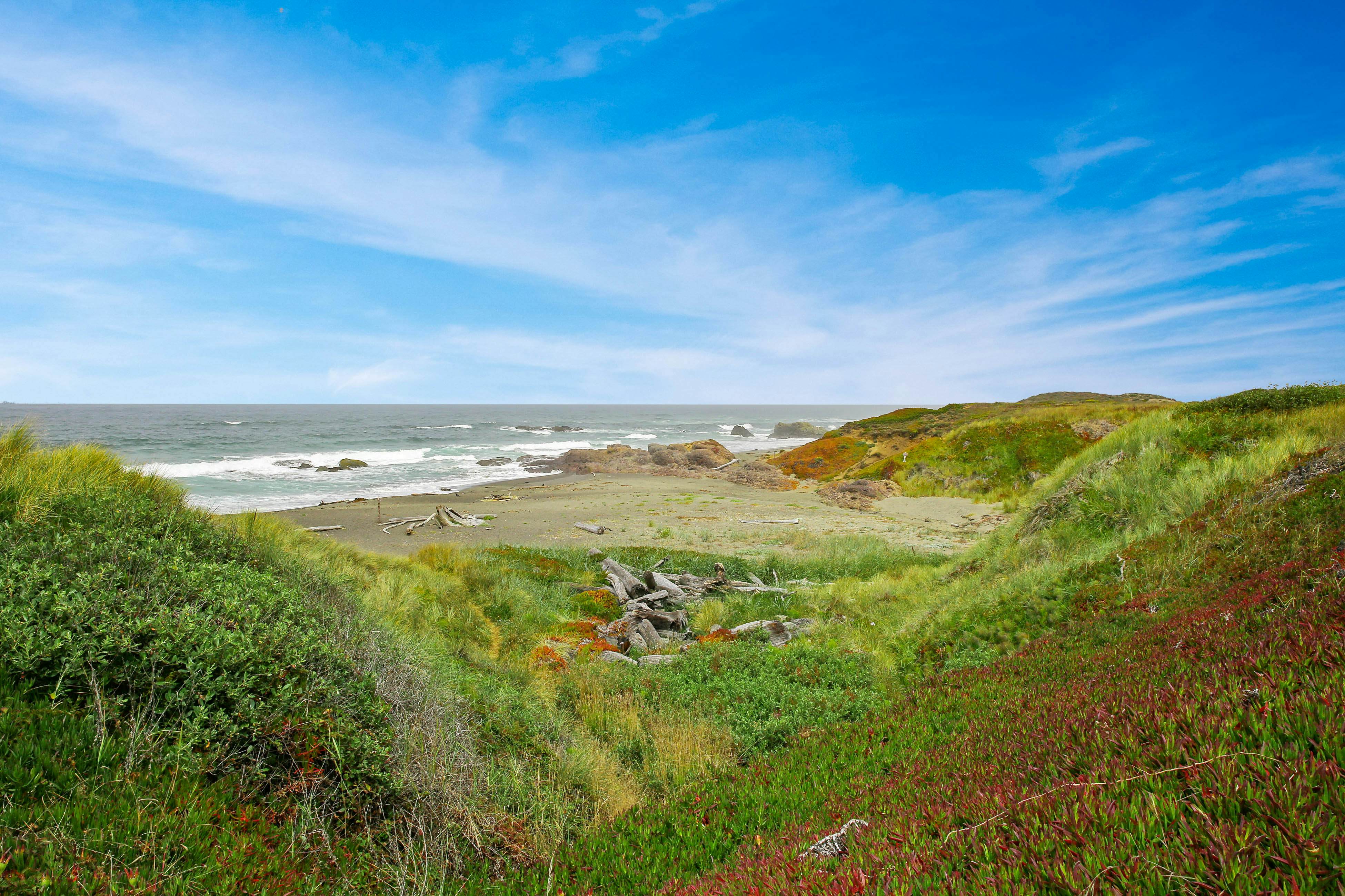 Dog-friendly Oceanfront home with Private Hot tub