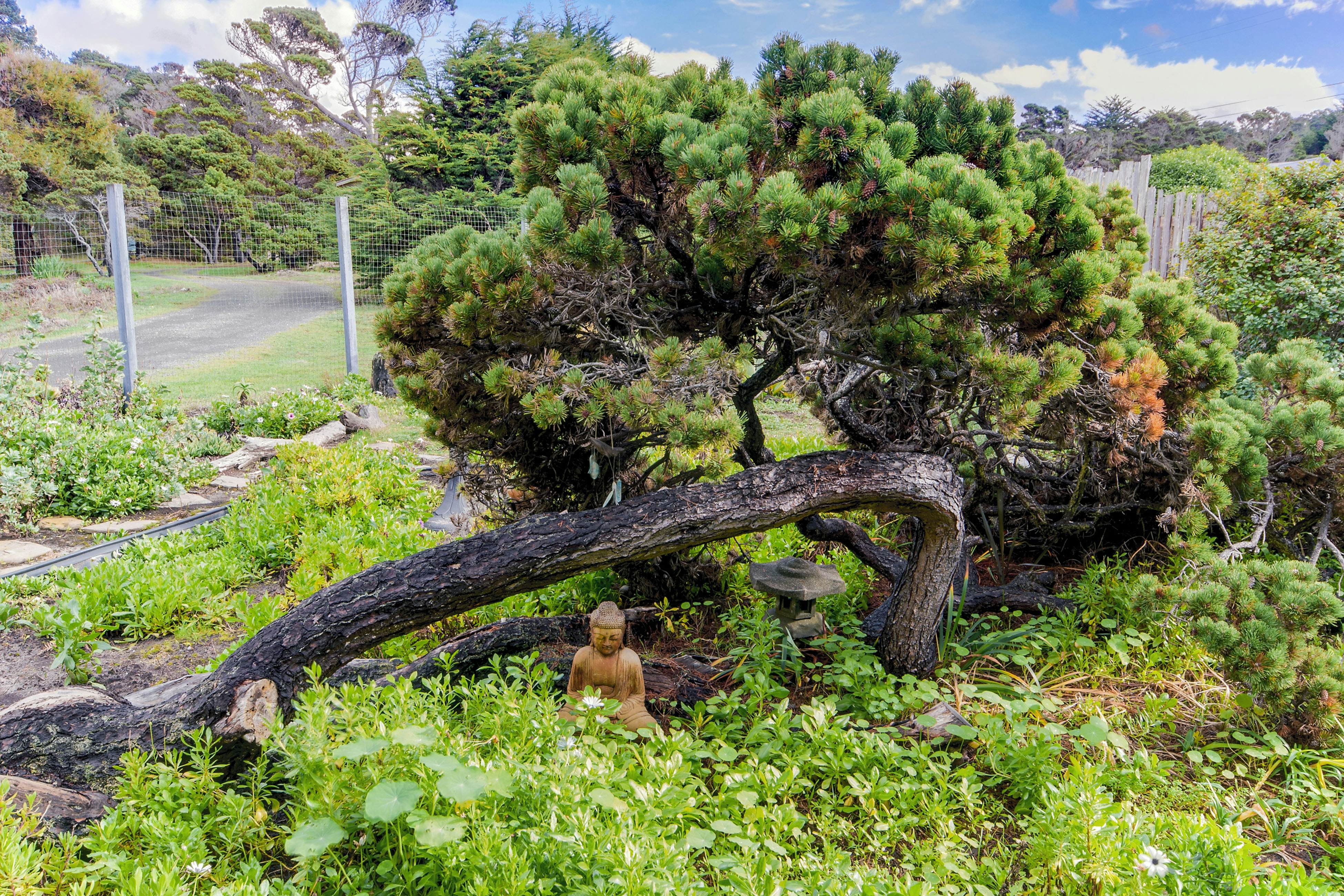 Tideaway: Private Hot Tub and Expansive Ocean View