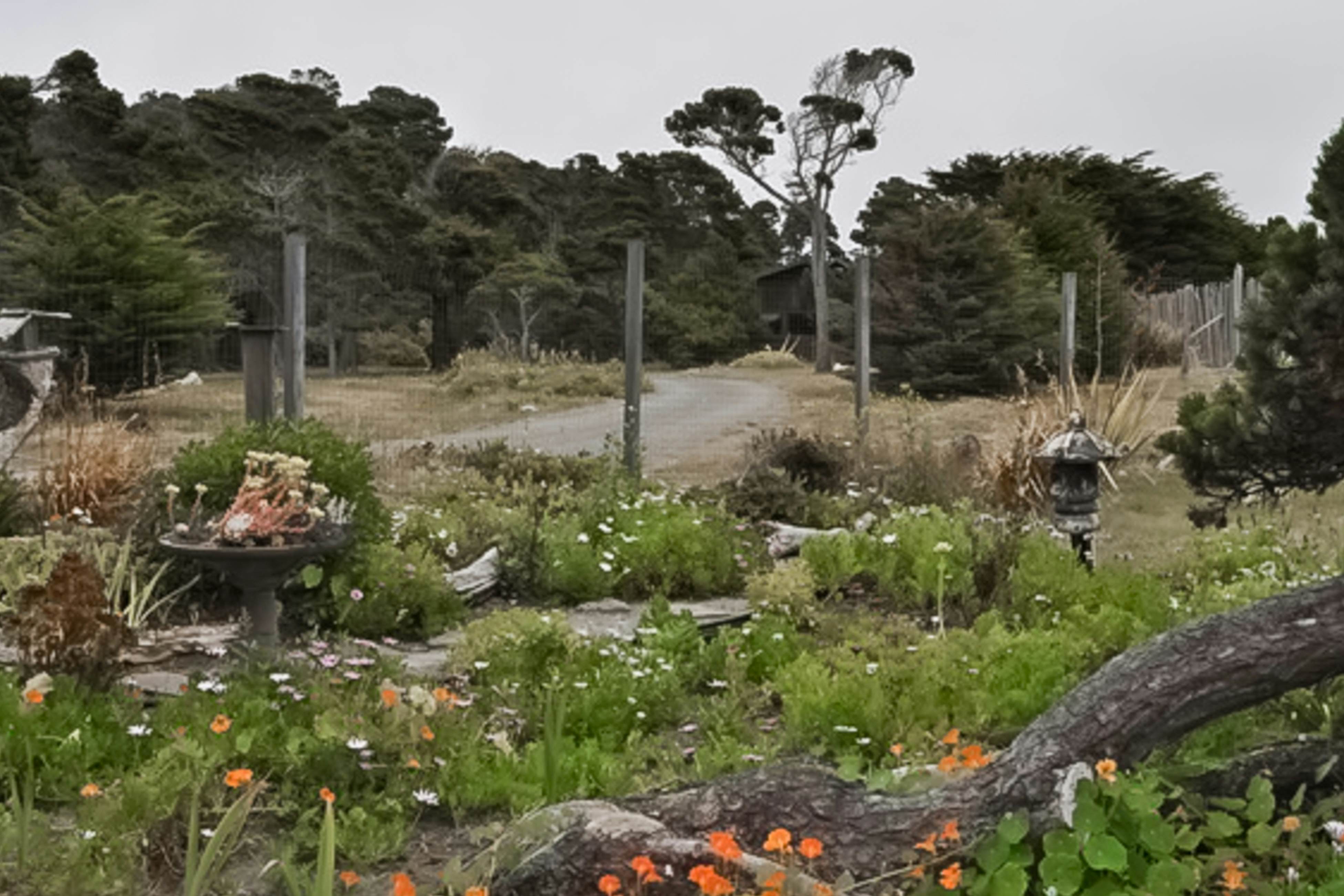 Tideaway: Private Hot Tub and Expansive Ocean View