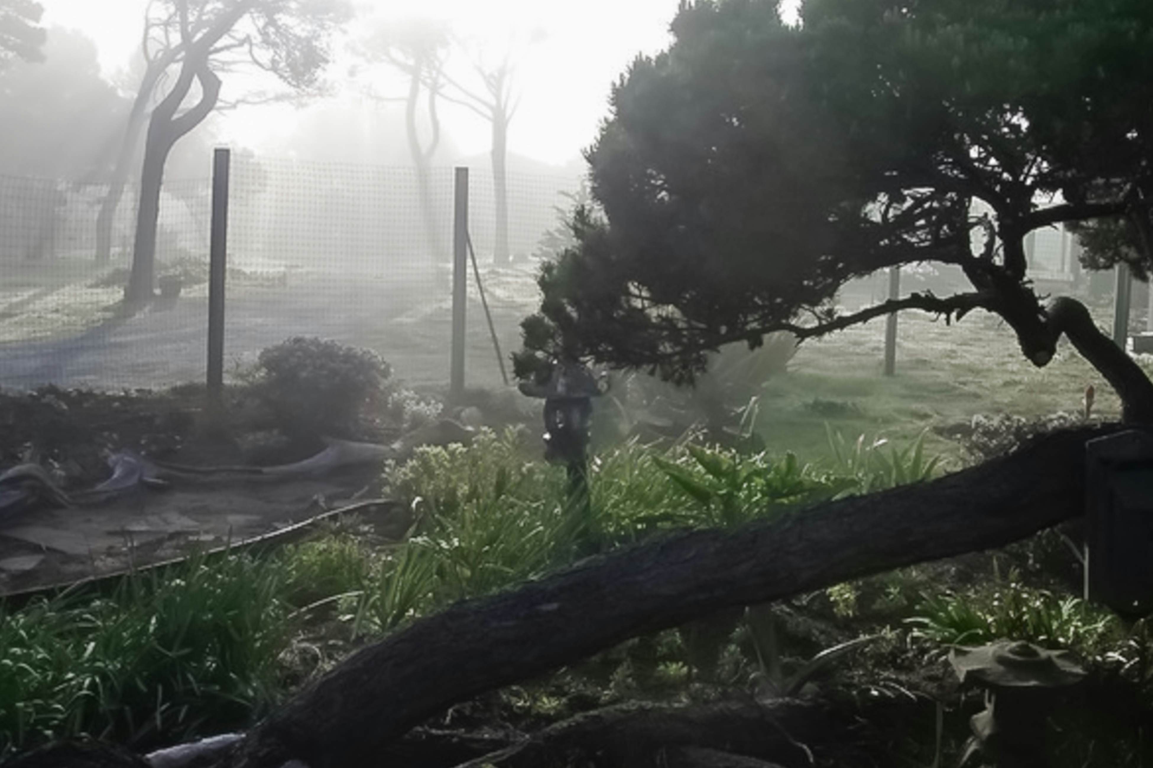 Tideaway: Private Hot Tub and Expansive Ocean View