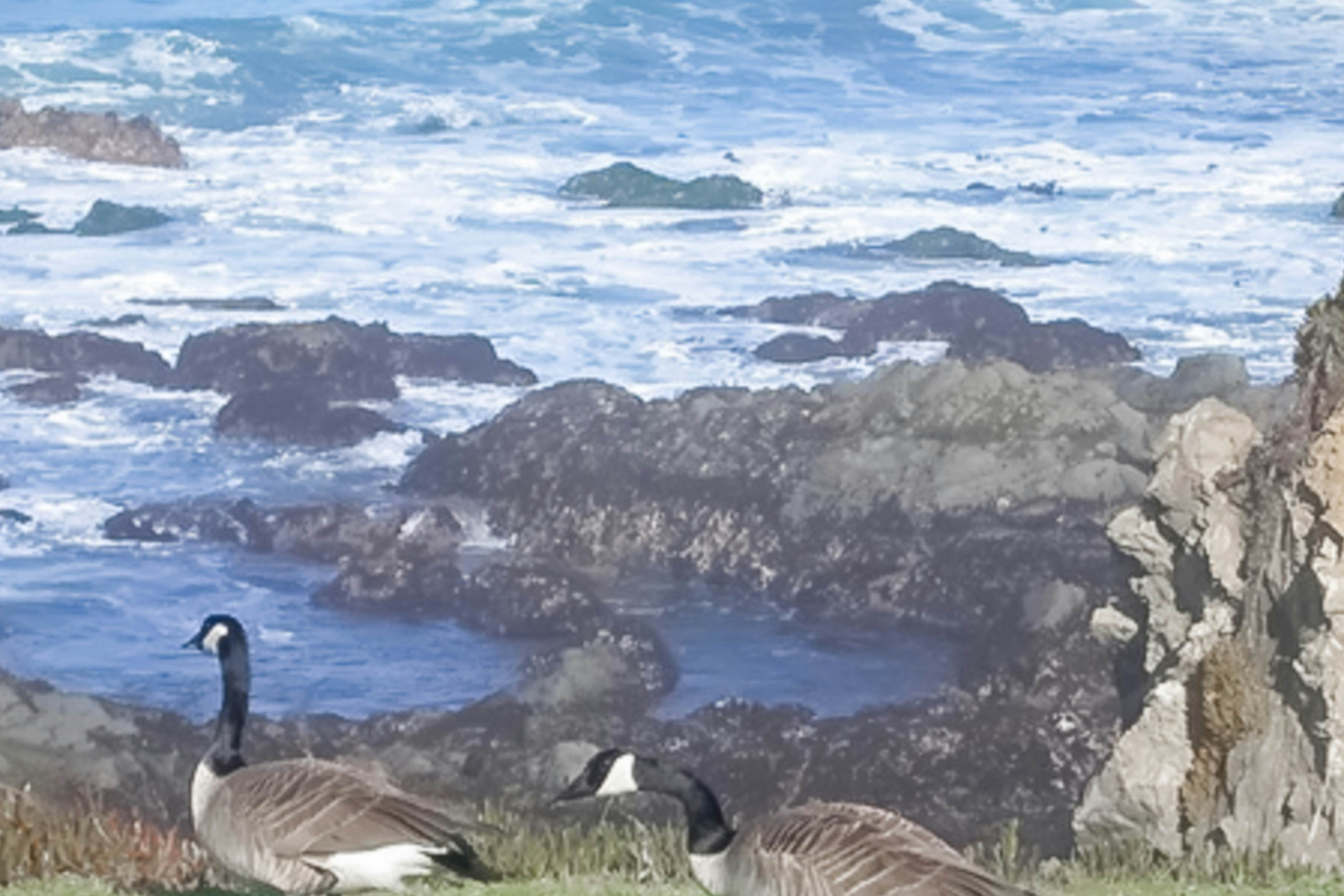 Tideaway: Private Hot Tub and Expansive Ocean View