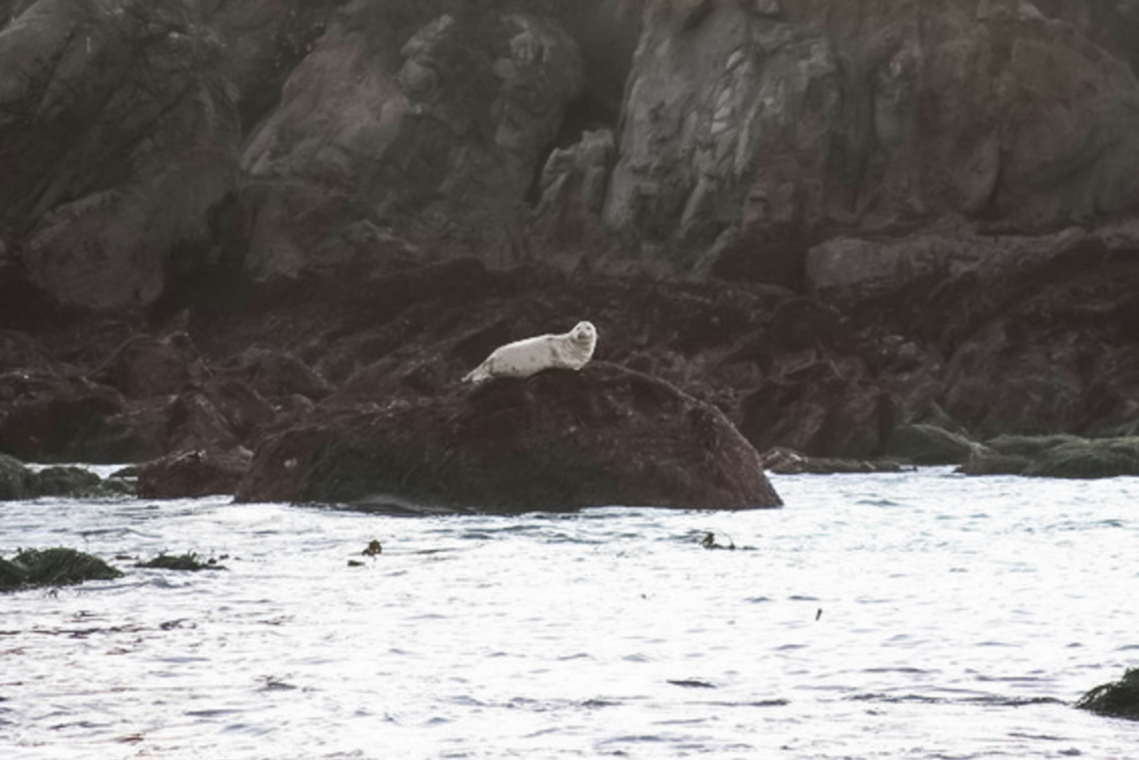 Tideaway: Private Hot Tub and Expansive Ocean View