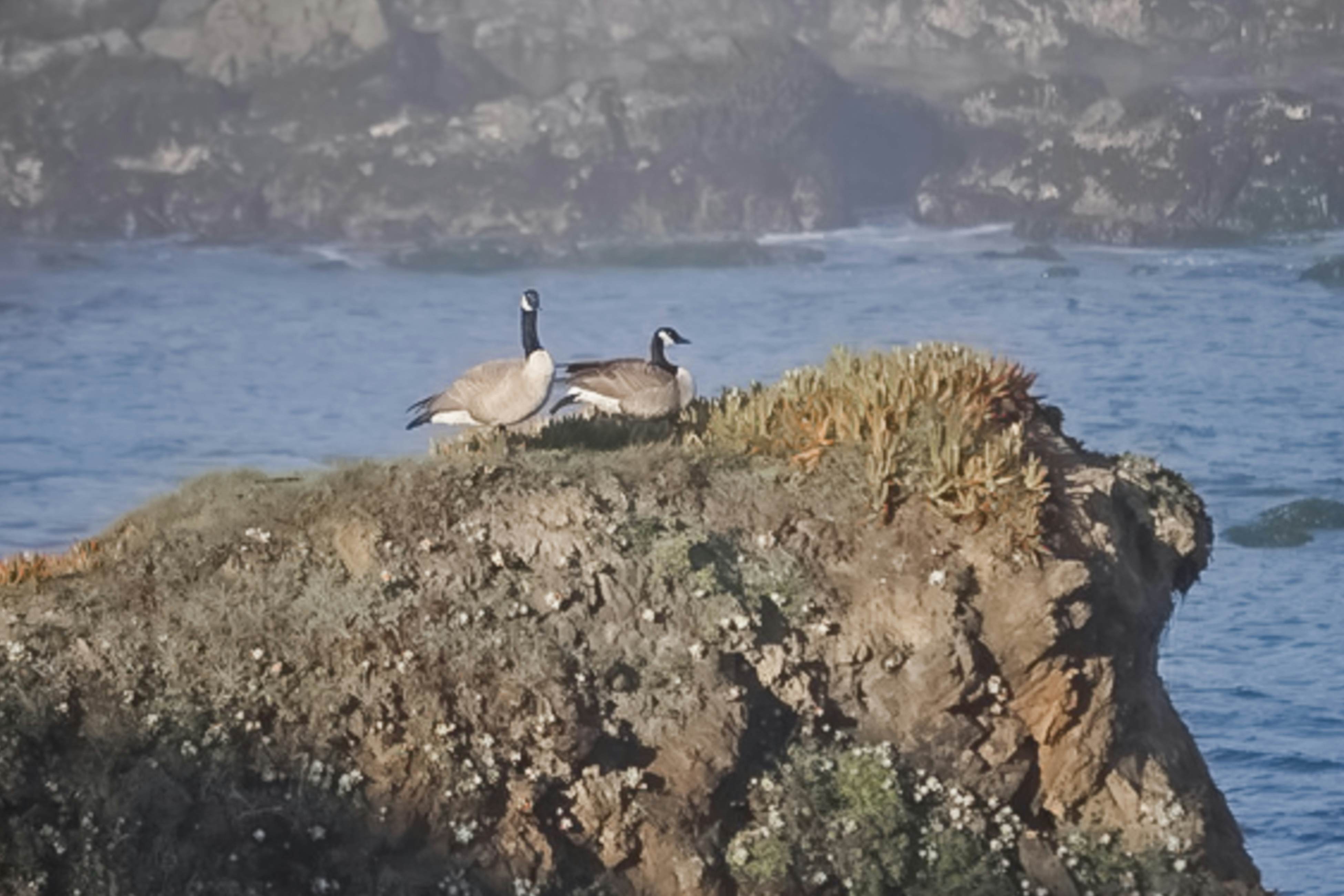 Tideaway: Private Hot Tub and Expansive Ocean View