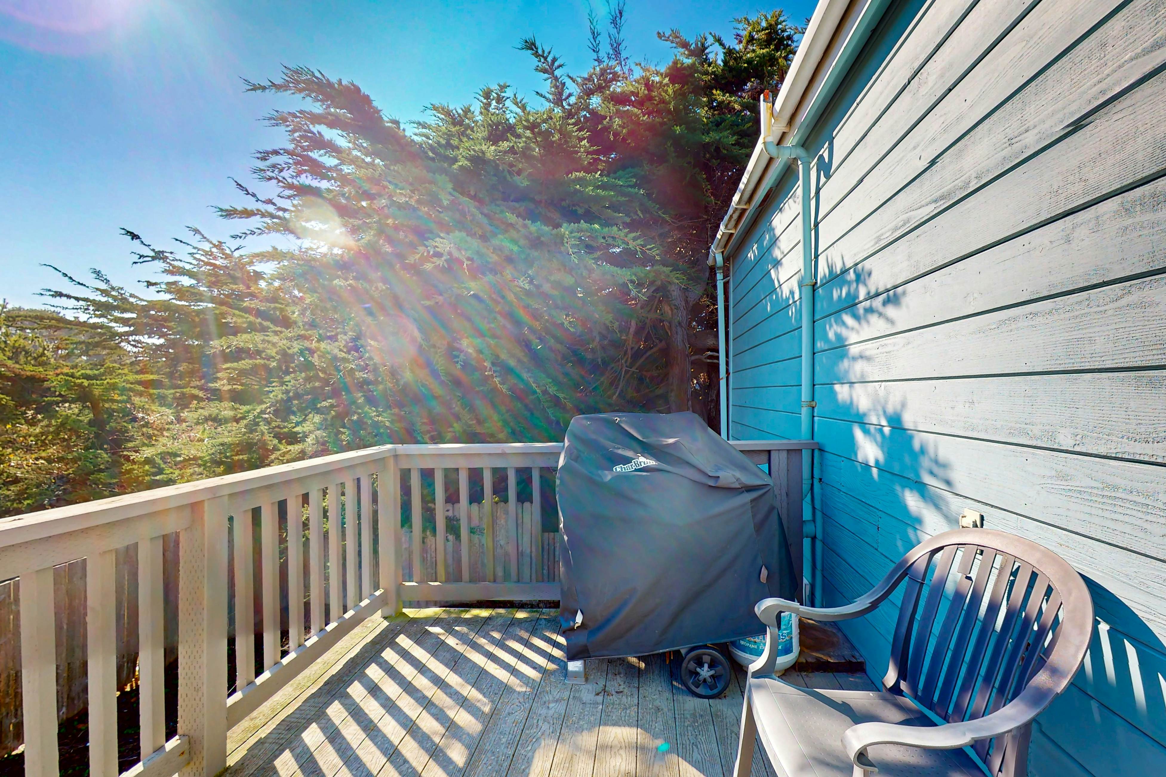 Oceanfront Studio: Beachfront Bliss & Pet-Friendly