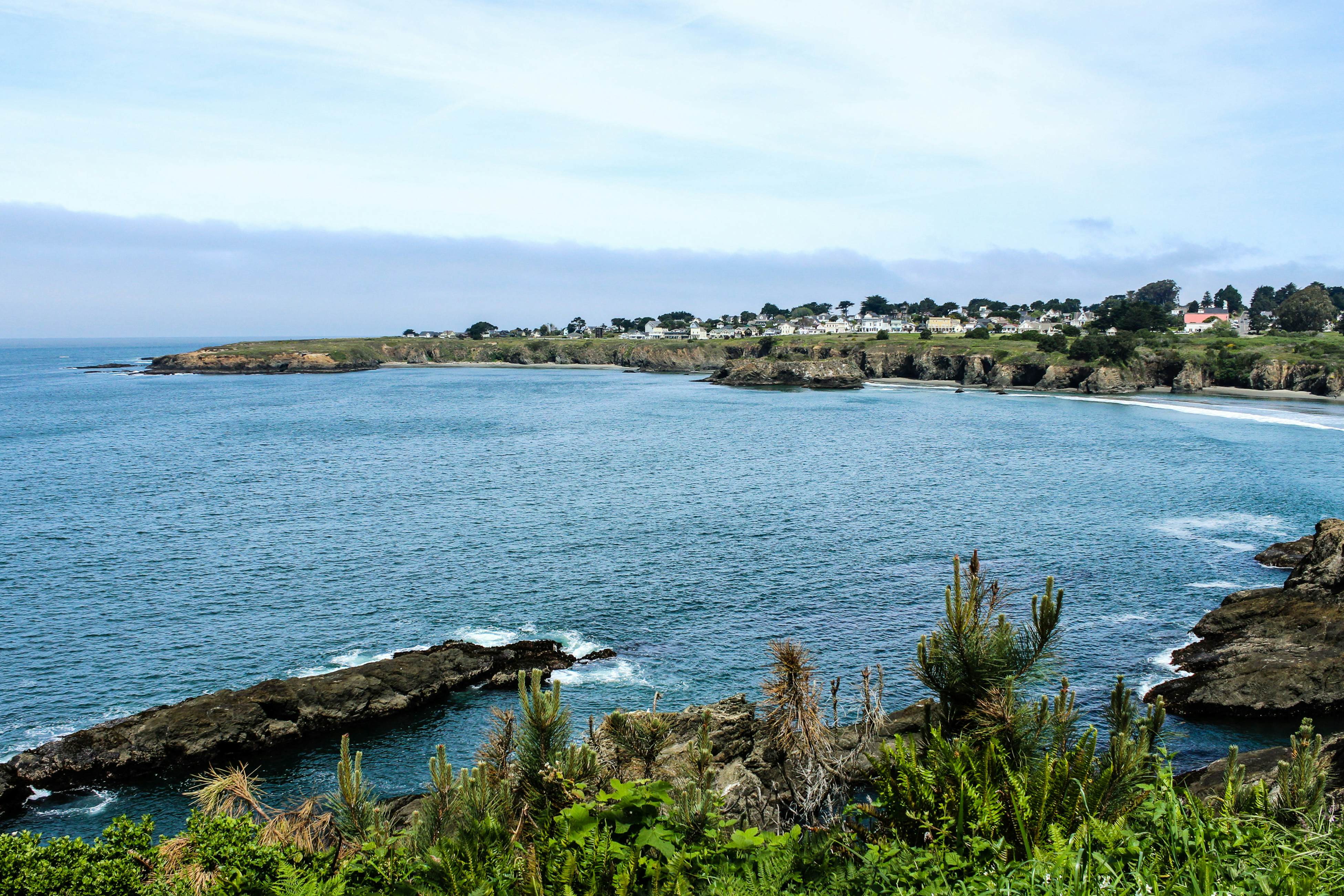 Oceanfront Studio: Beachfront Bliss & Pet-Friendly