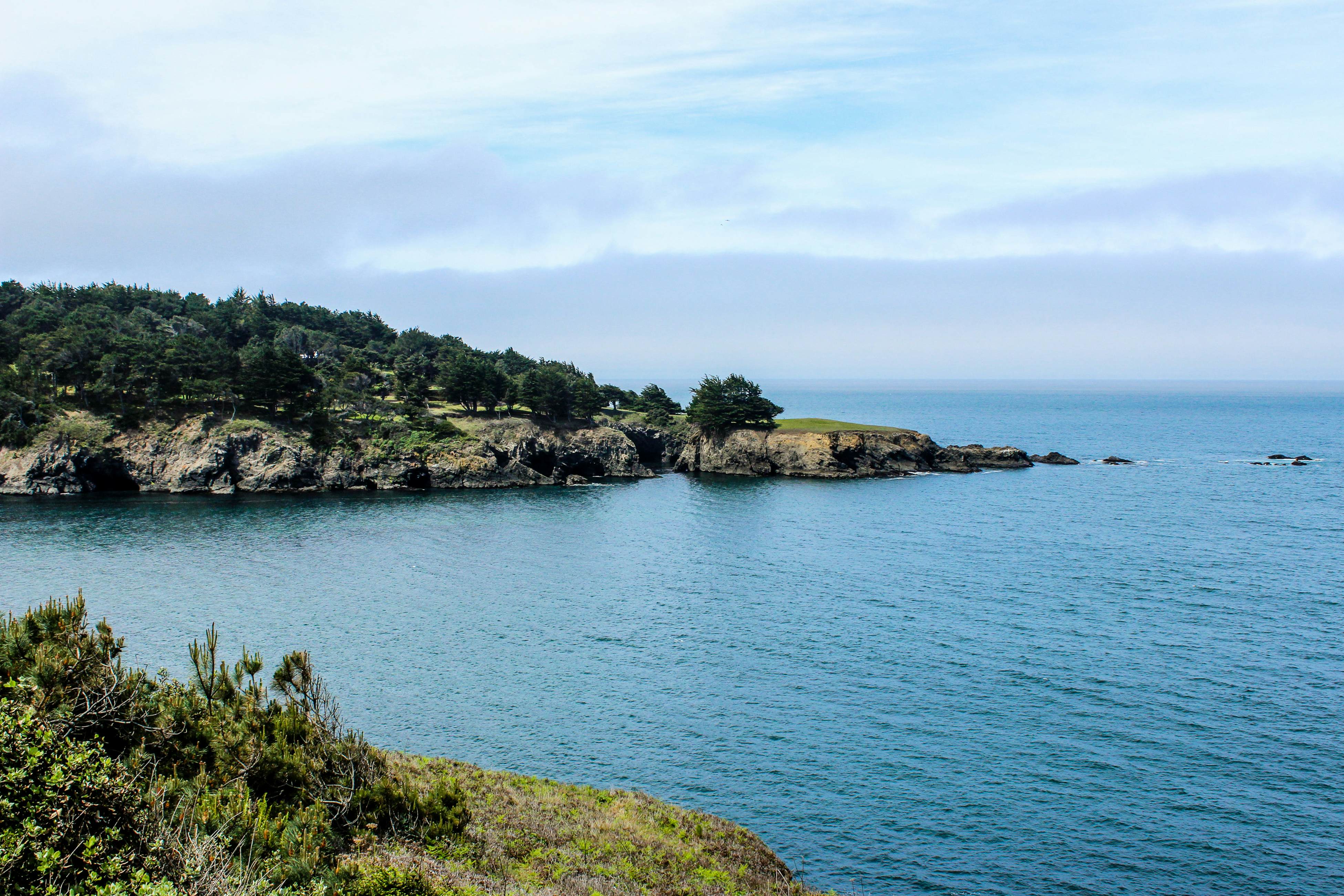 Oceanfront Studio: Beachfront Bliss & Pet-Friendly