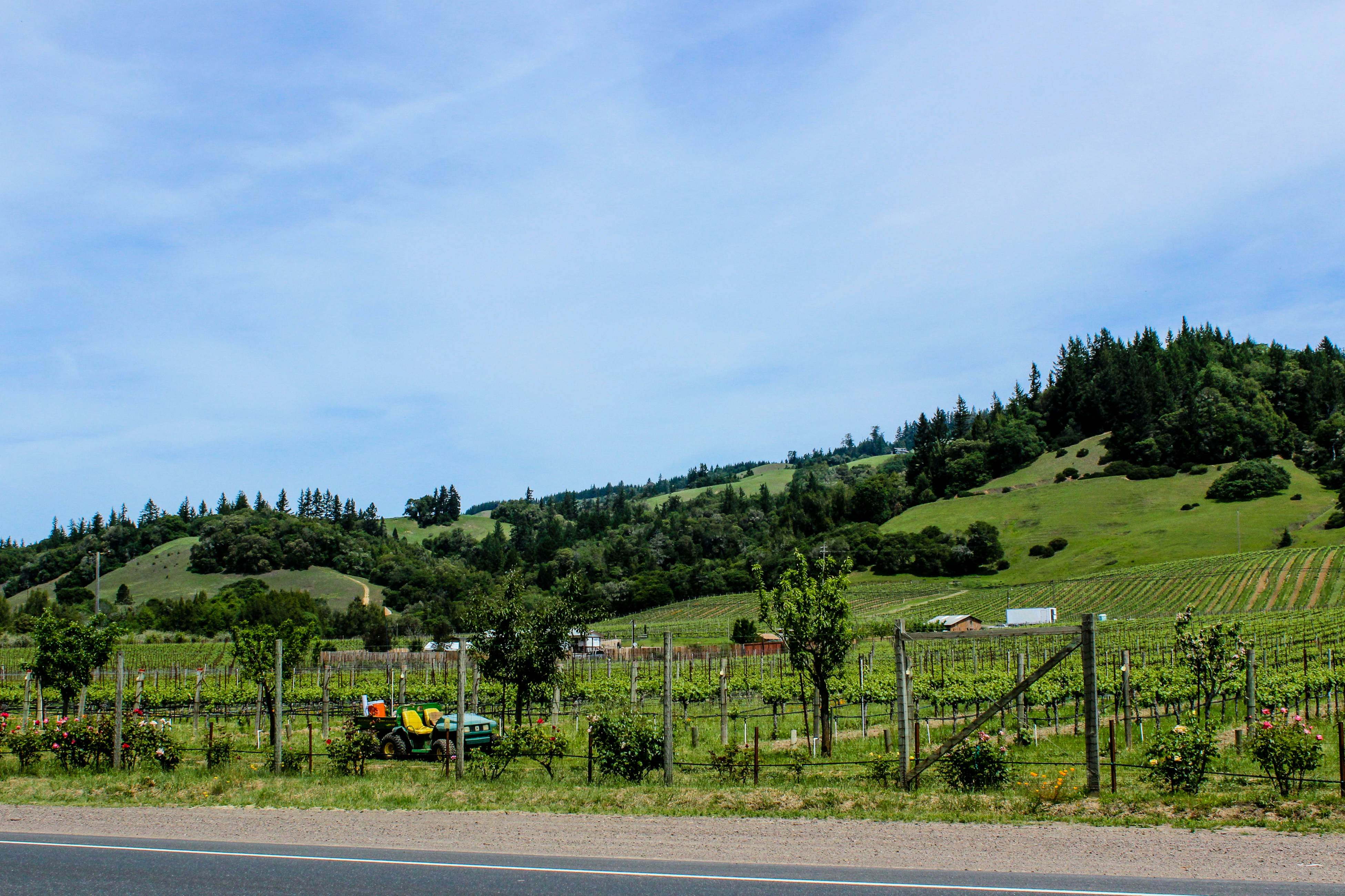 Oceanfront Studio: Beachfront Bliss & Pet-Friendly