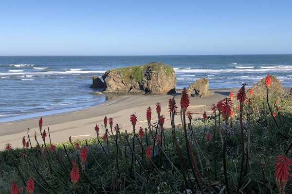 Ocean-View Manor with Large Yard, Walk to Beach