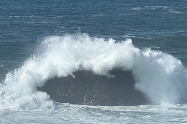Ocean views with Abundant Wildlife and Hot Tub