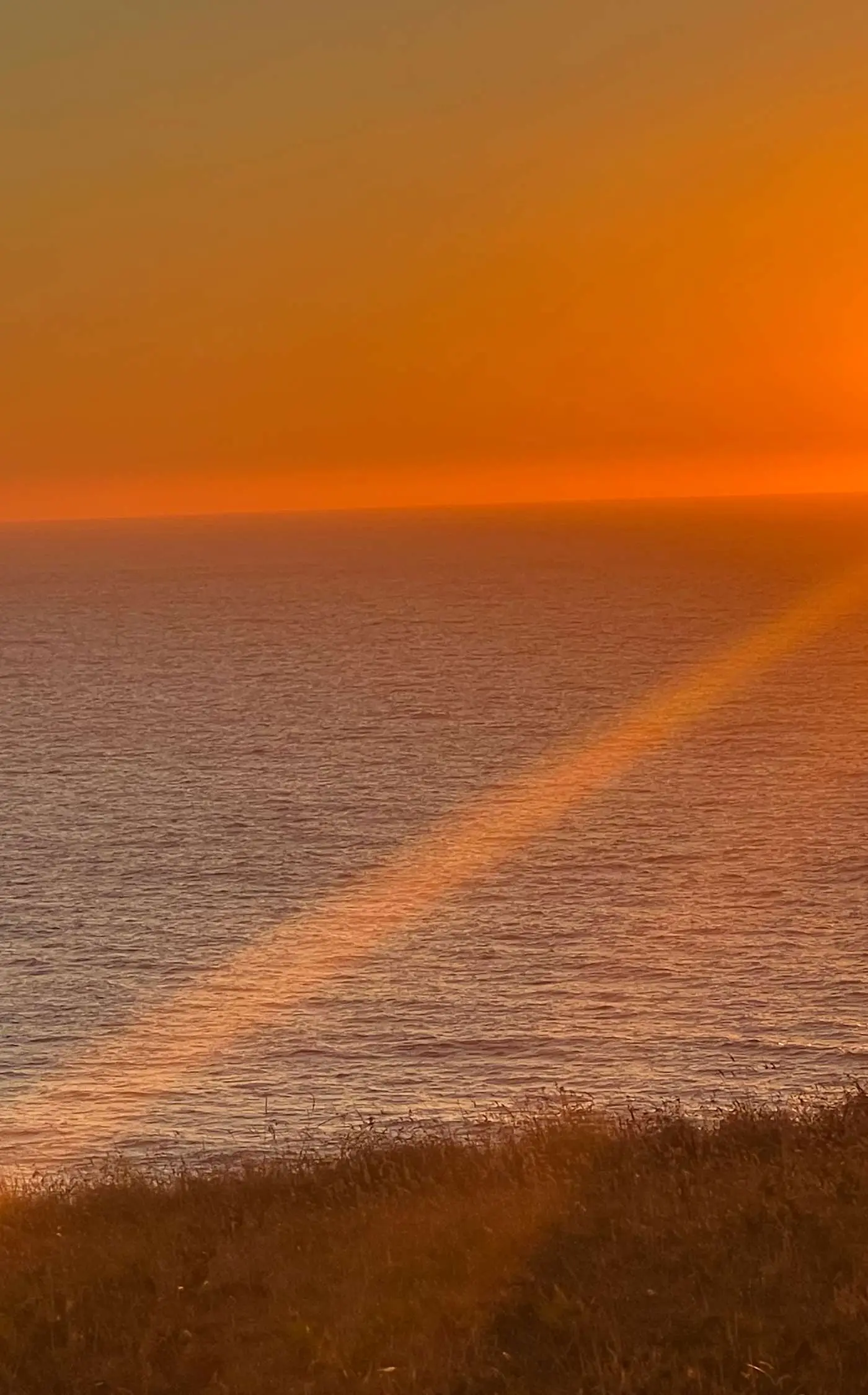 Ocean views with Abundant Wildlife and Hot Tub